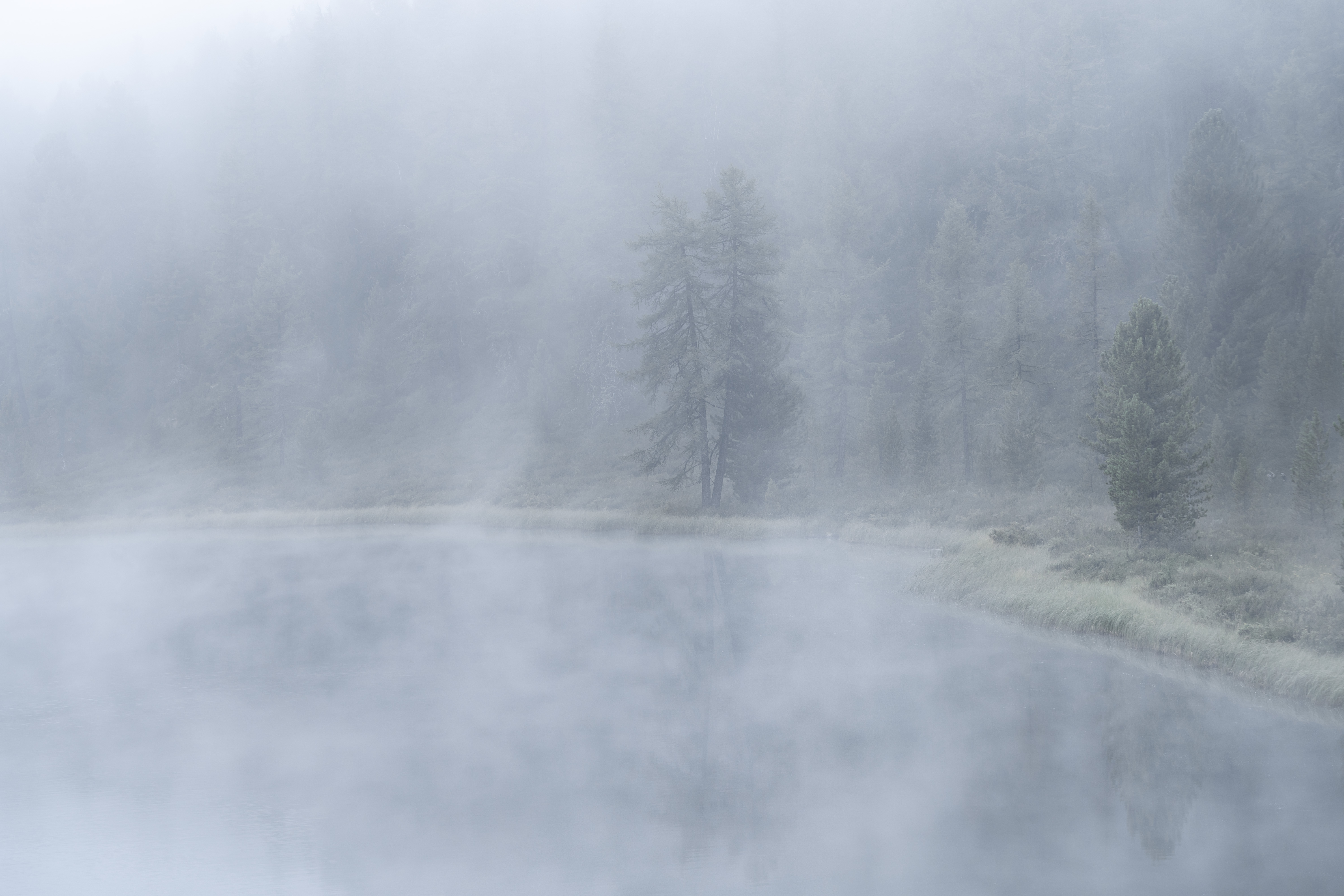 , Важенин Евгений