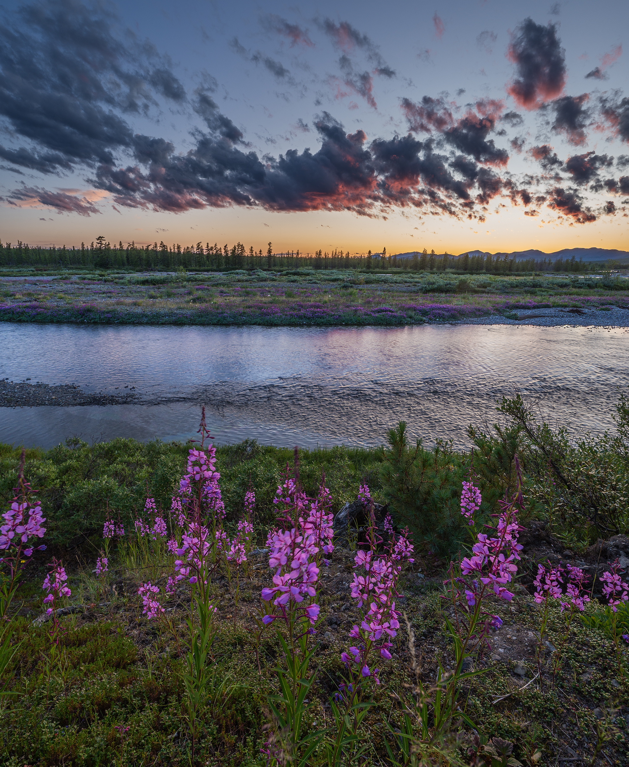, Андреев Николай