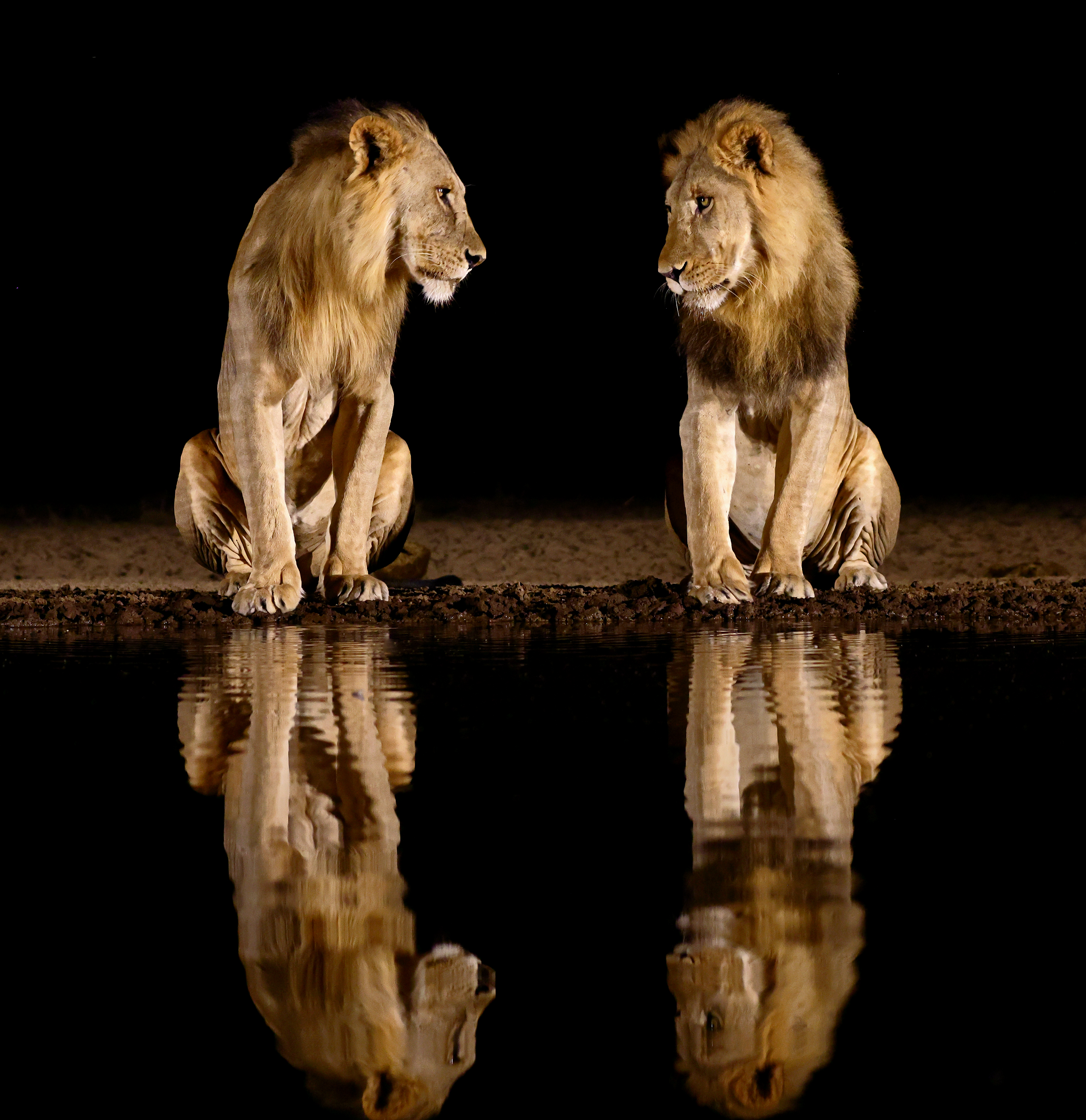 , Гудков Андрей