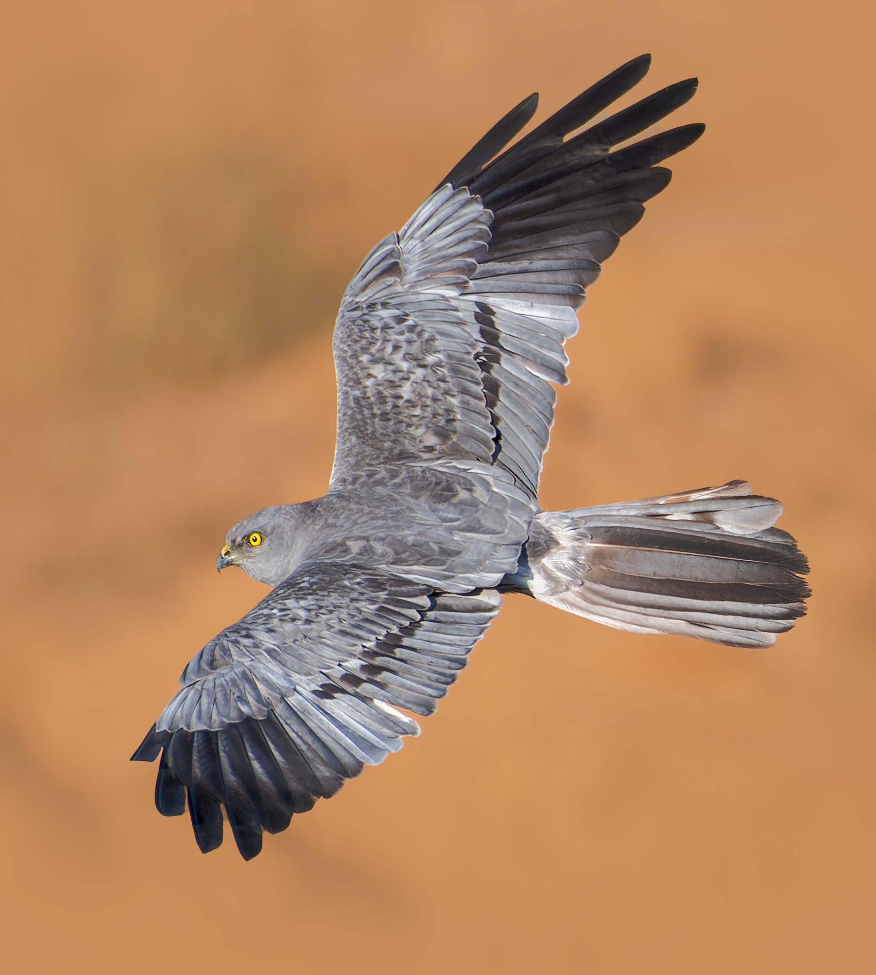 , Фото Александр