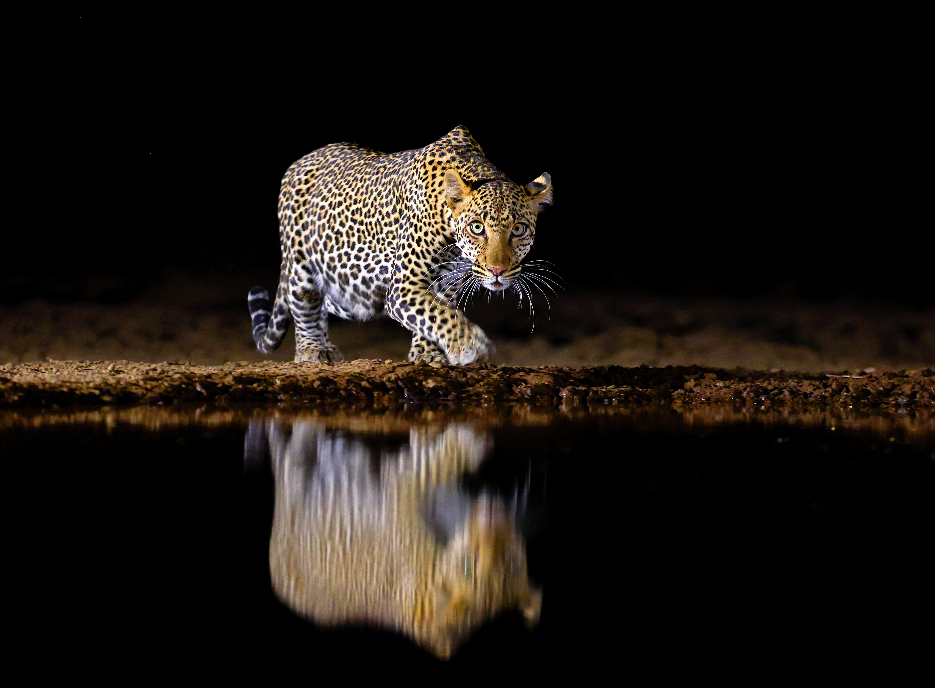 , Гудков Андрей