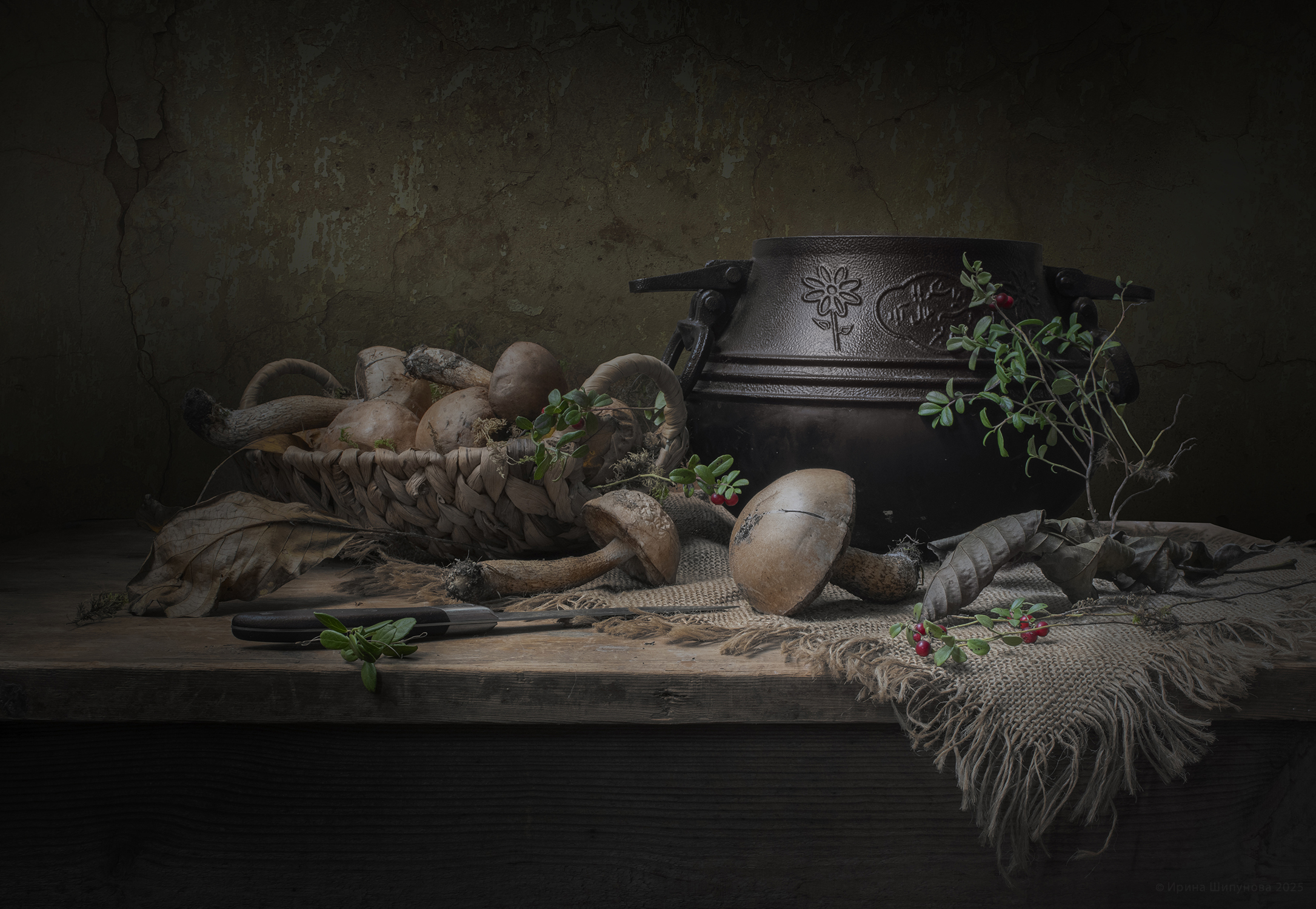 , Шипунова Ирина