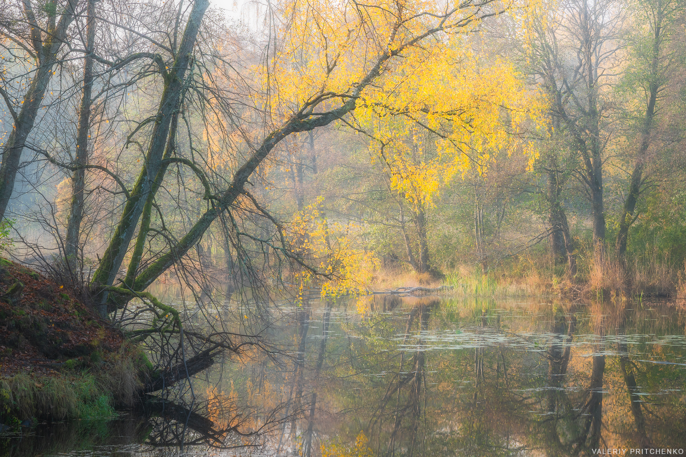 оень, пейзаж, природа, озеро, autumn, landscape, nature, Валерий Притченко