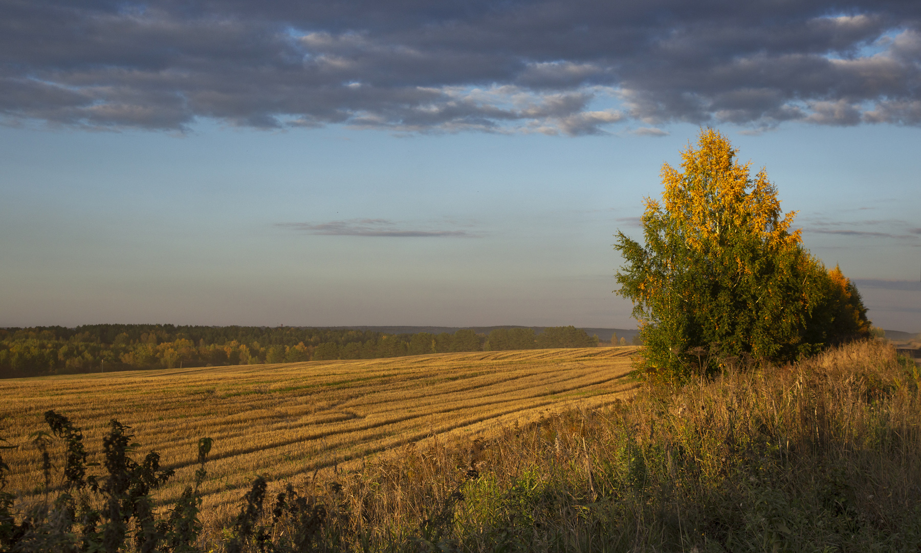 , Алексей Хахлов