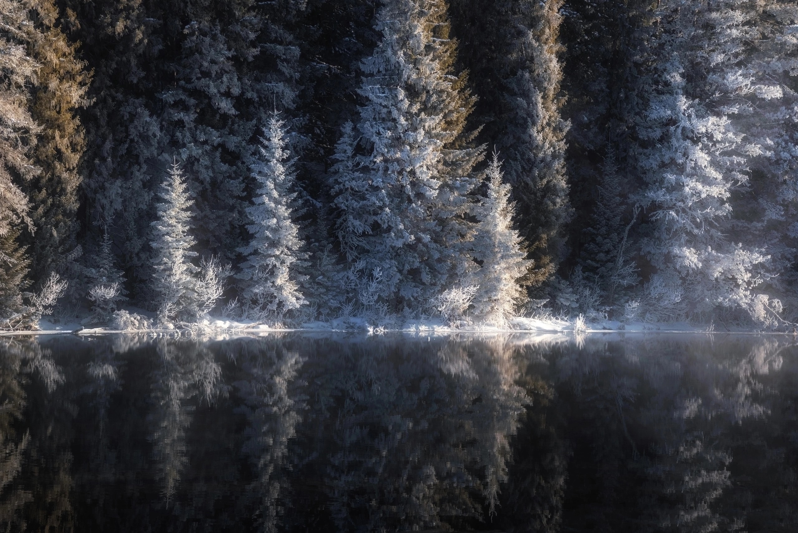 , Андрей Малыгин