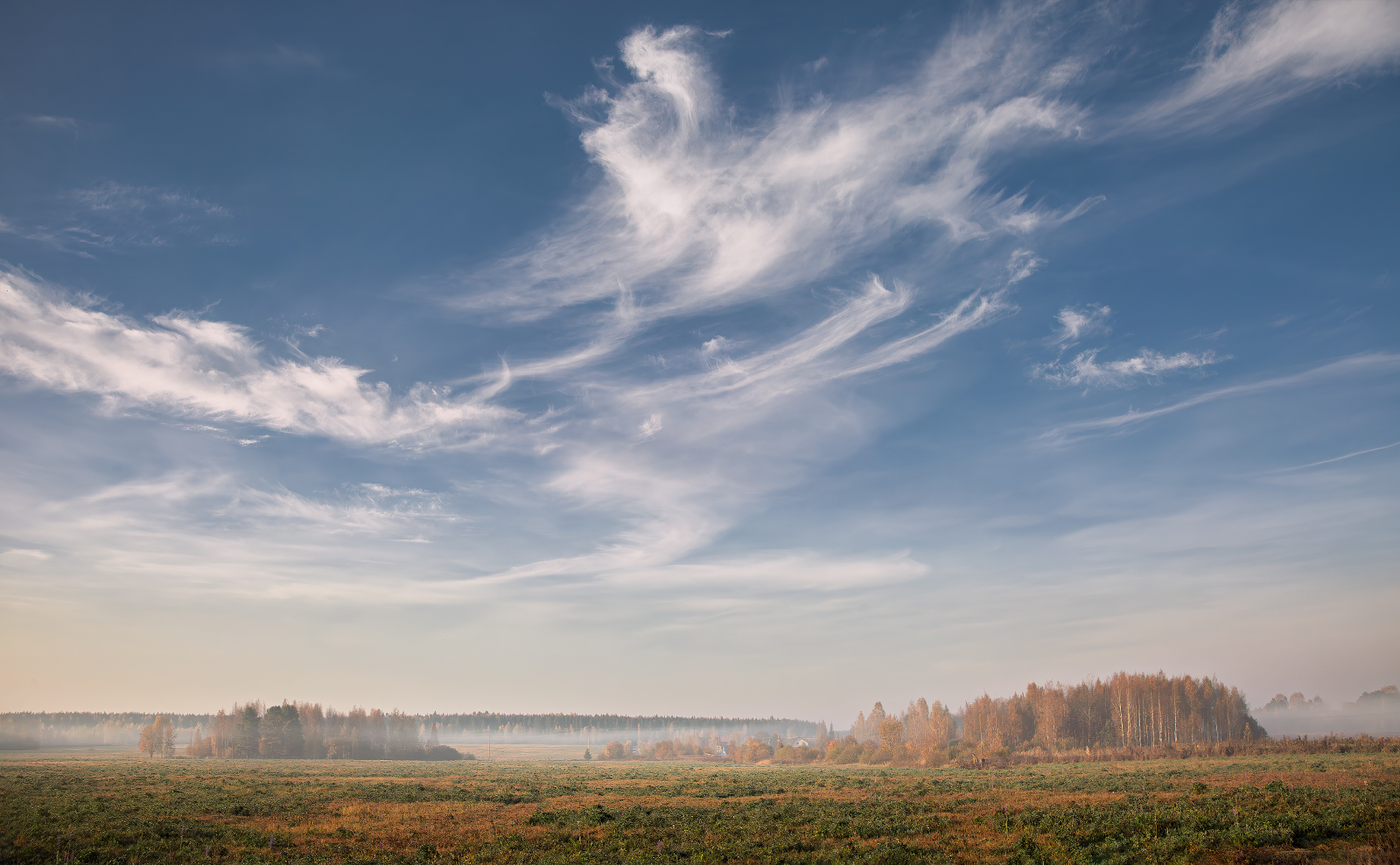 , Евгений Ерохин