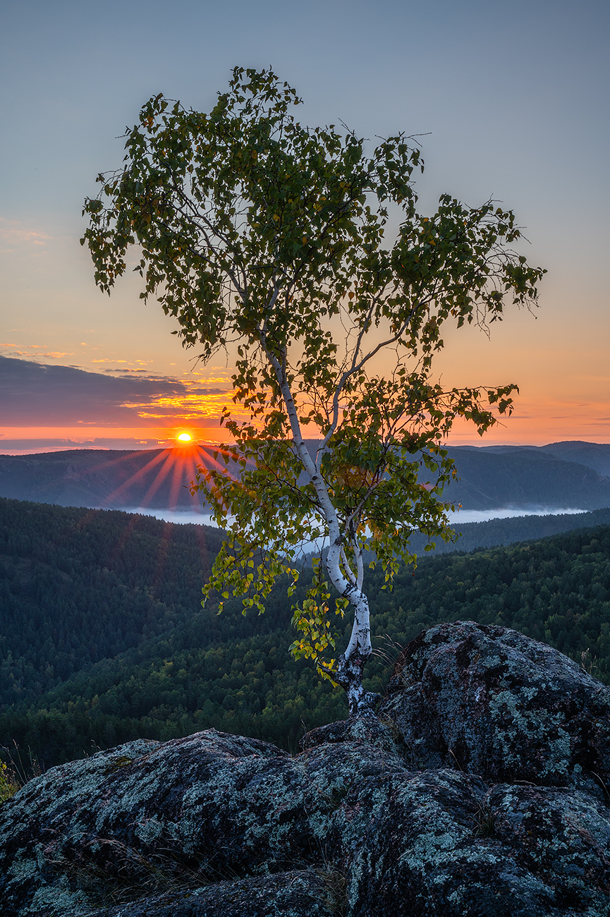 , Михаил Зверев