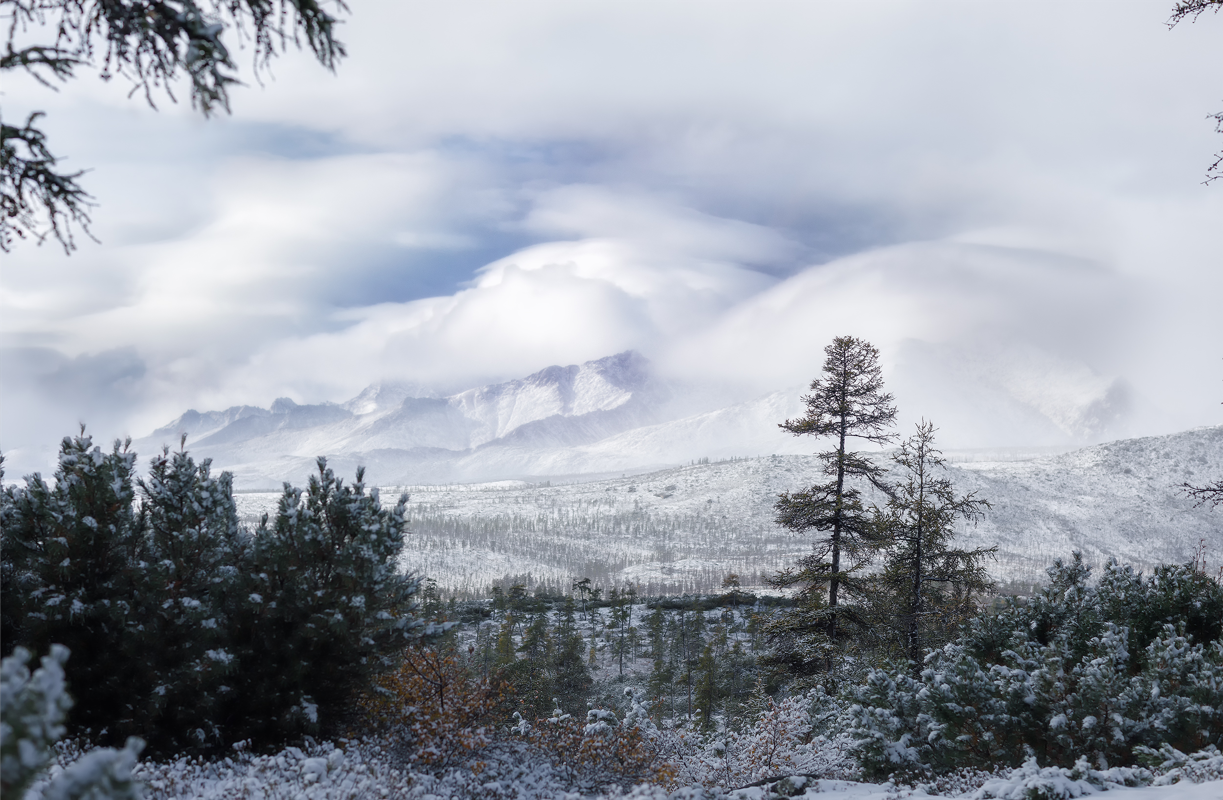 , Владимир Кочкин