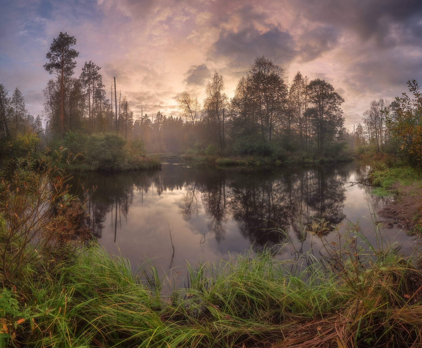 ленобласть, лес, речка, закат, осень, Марголин Алексей