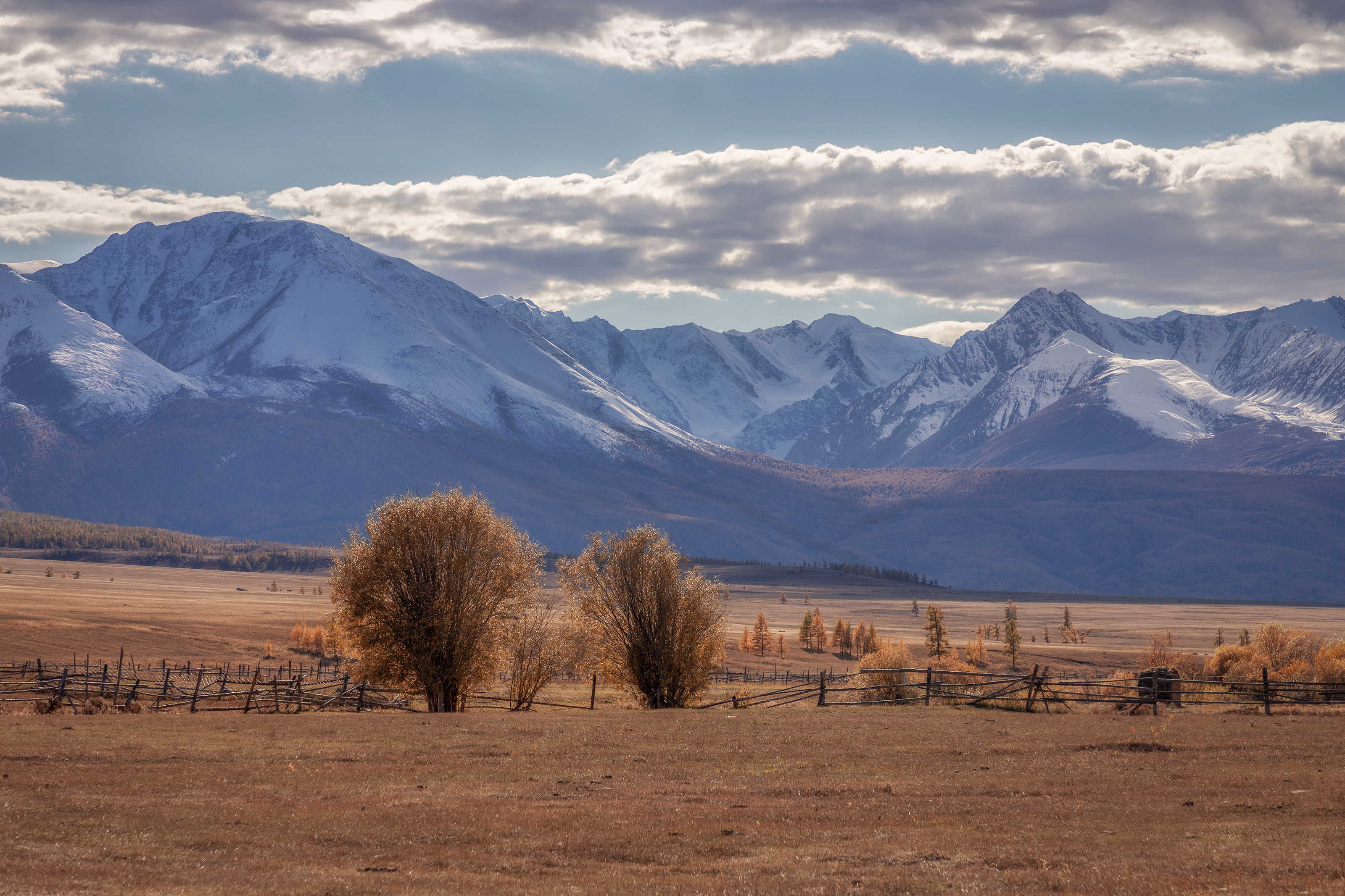 Алтай, Гусева Елена