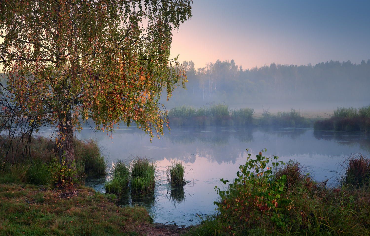 , Роман Лушпа