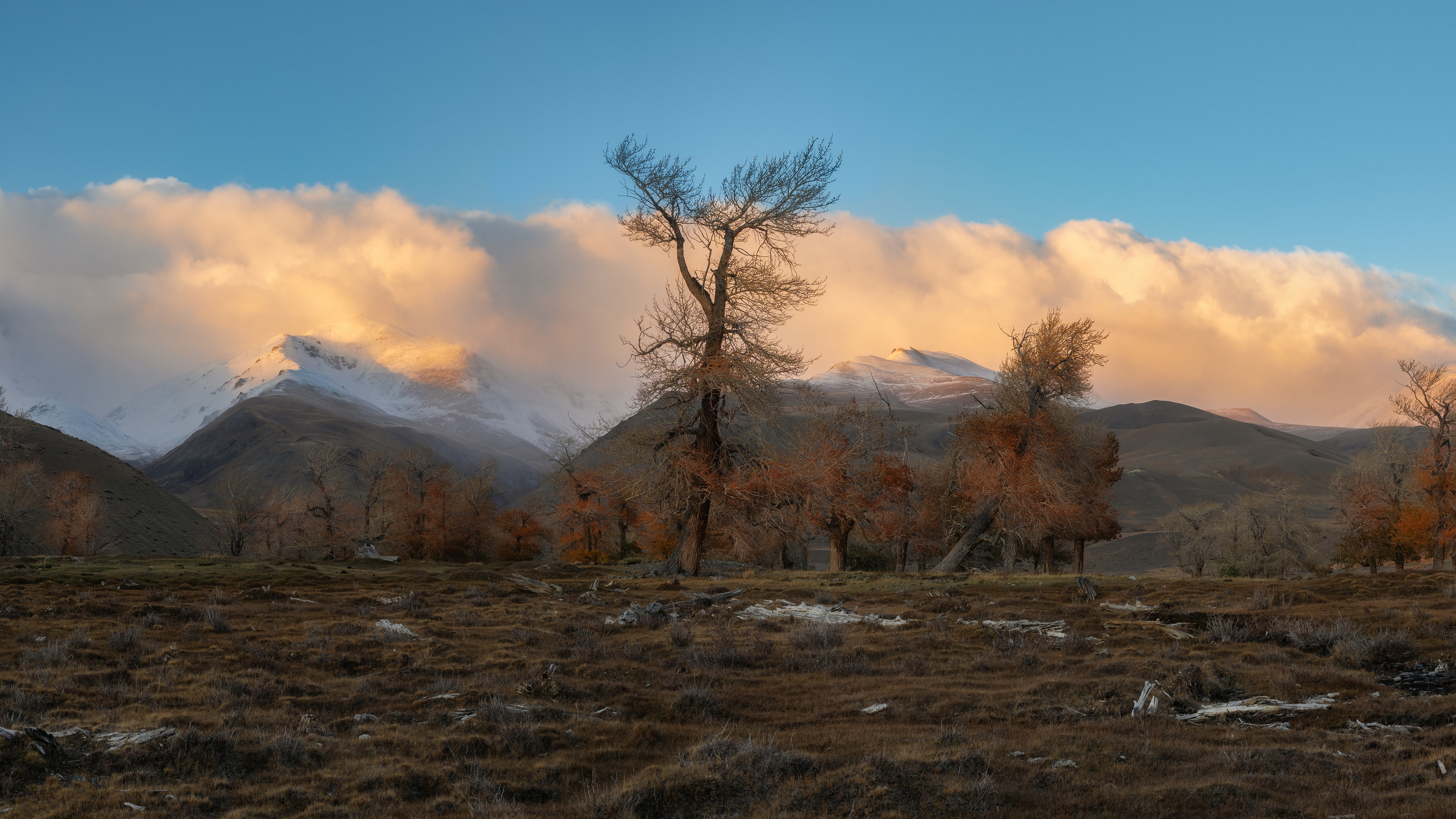 , Мозжухин Максим