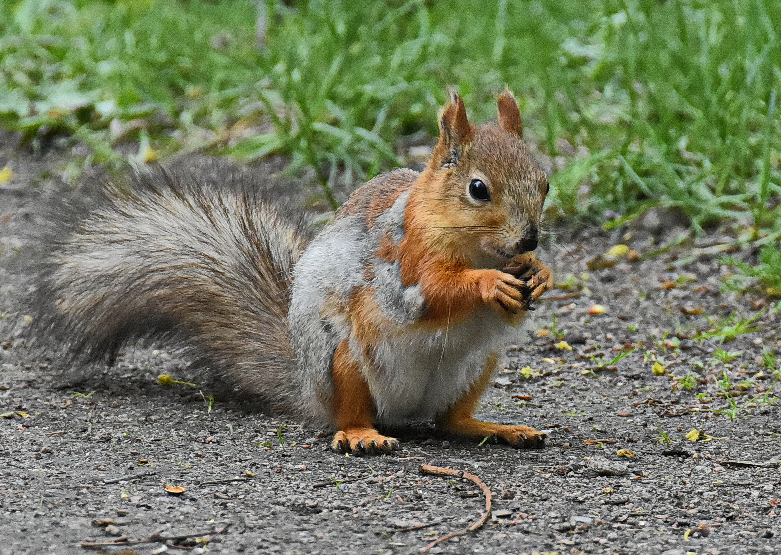 , Лидия Ушакова