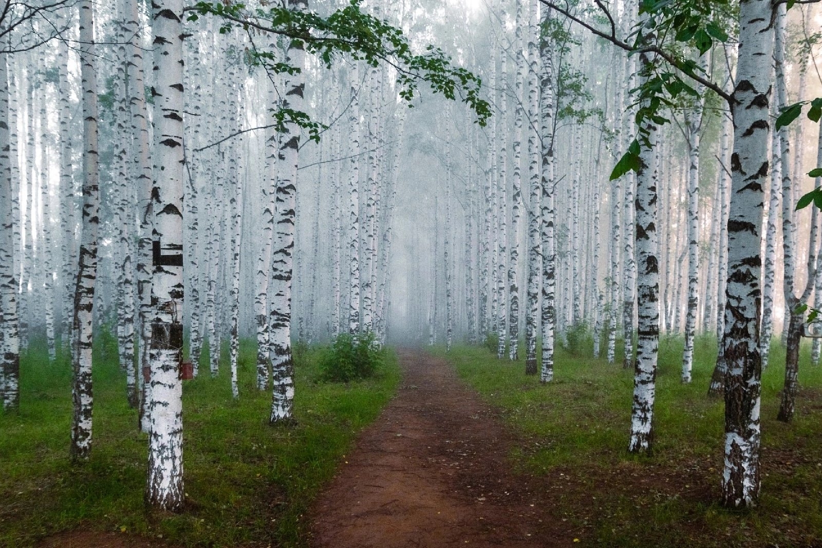 , Андрей Малыгин