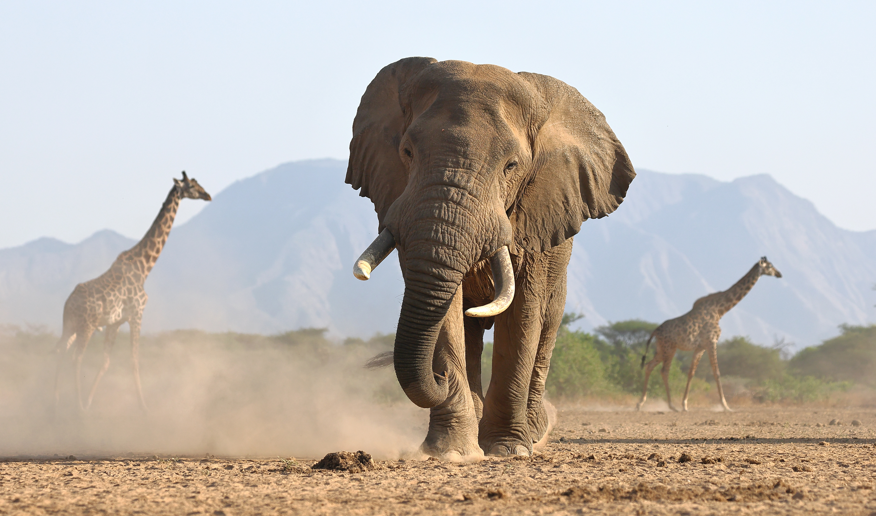 , Гудков Андрей