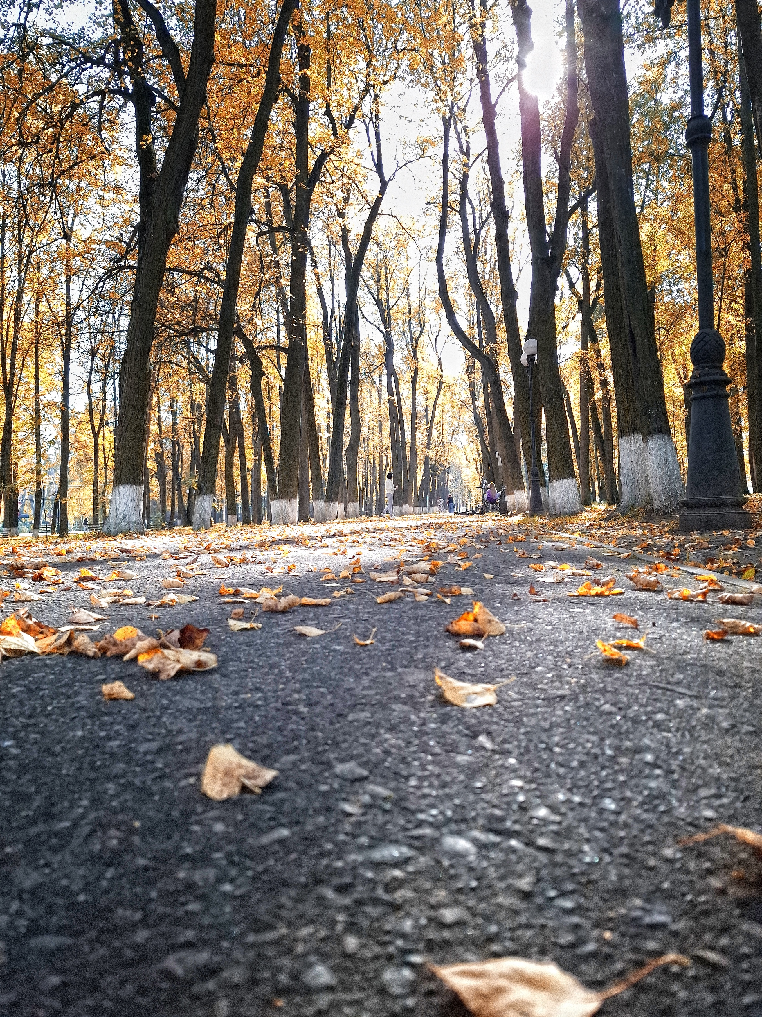 , Сергей Клапишевский