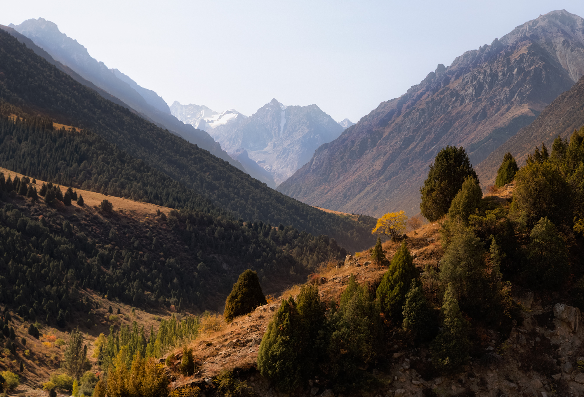 кыргызстан, ала-арча, Элина Магалимова