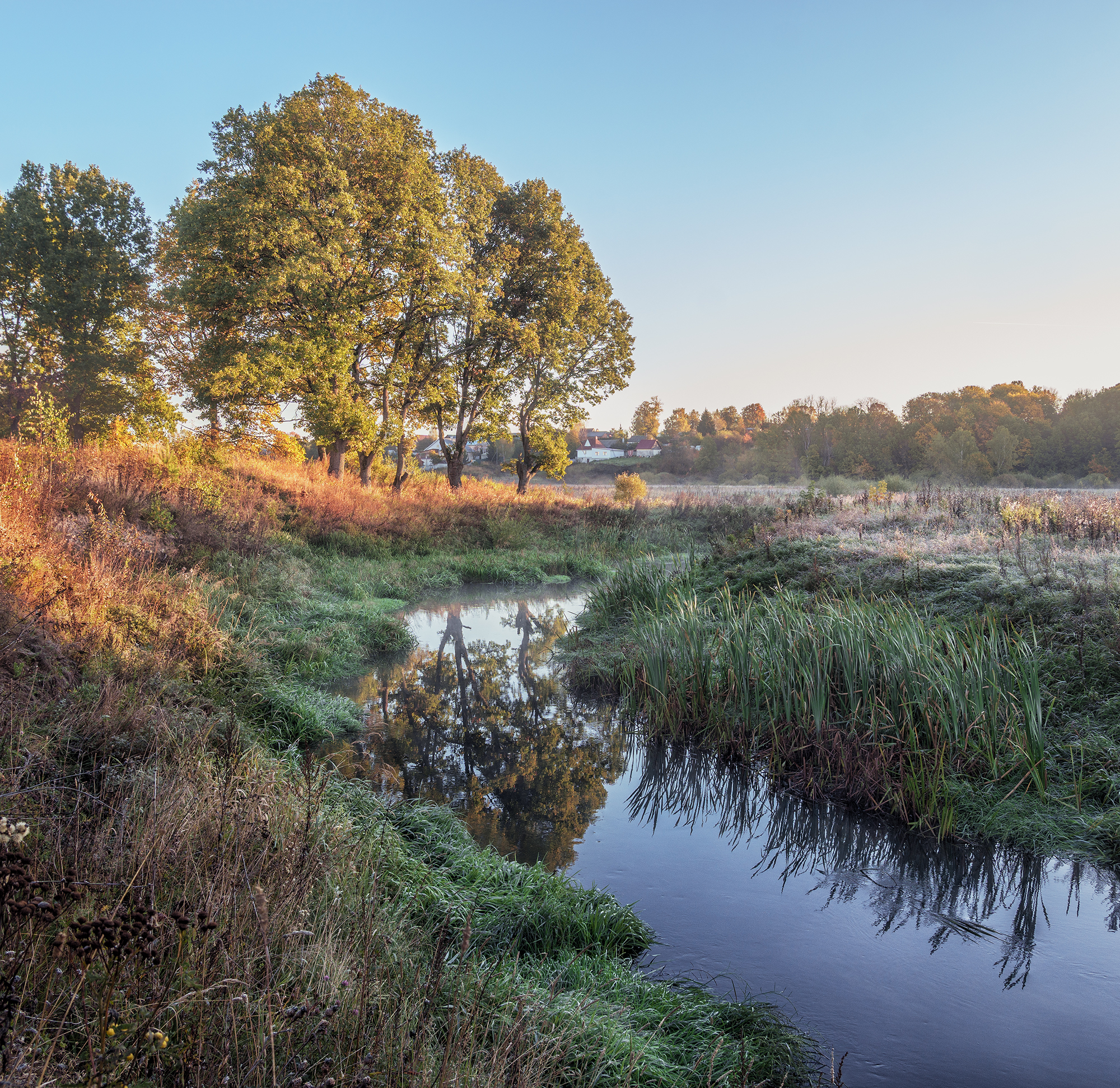 , Андреев Николай