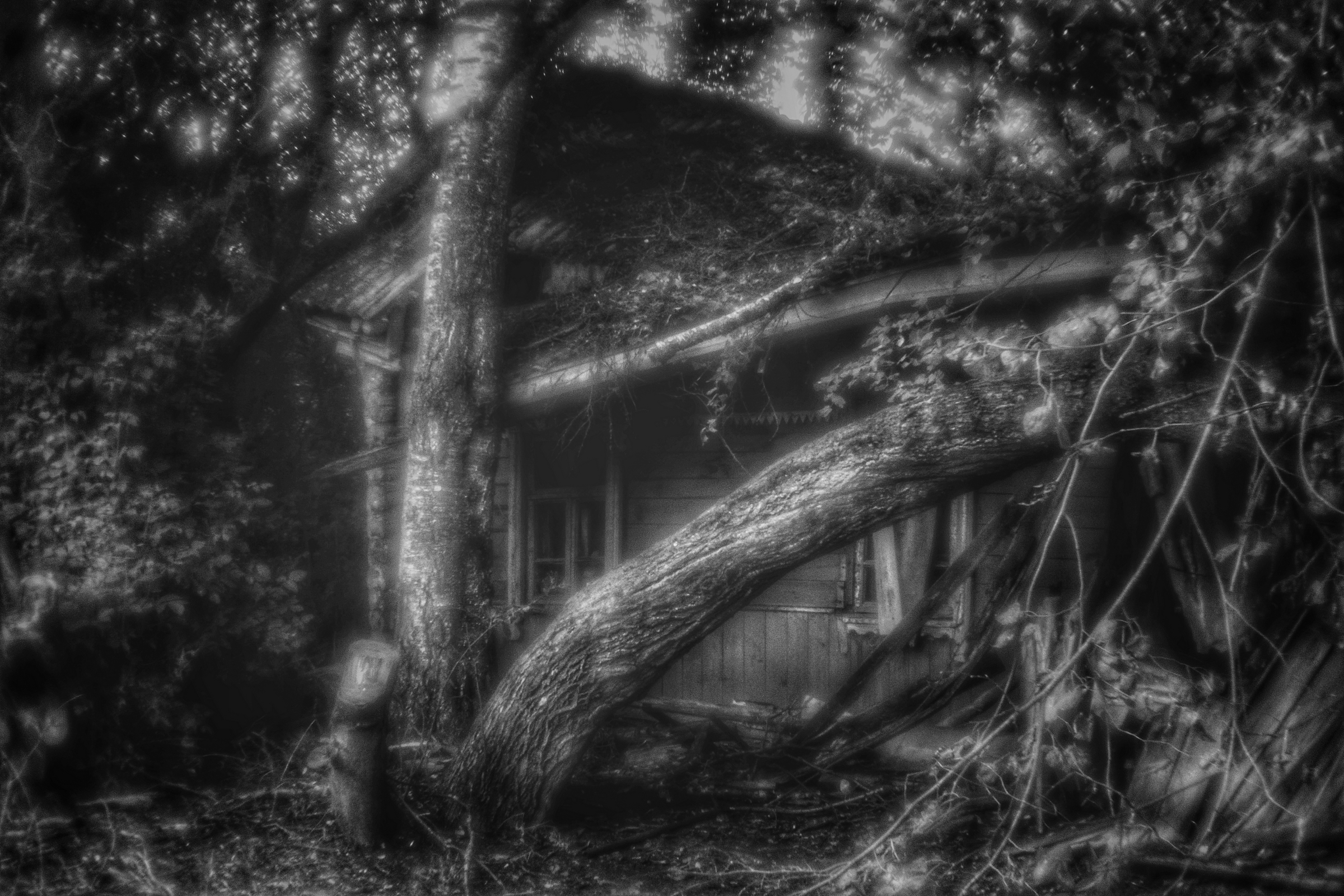 , Юрий Морозов