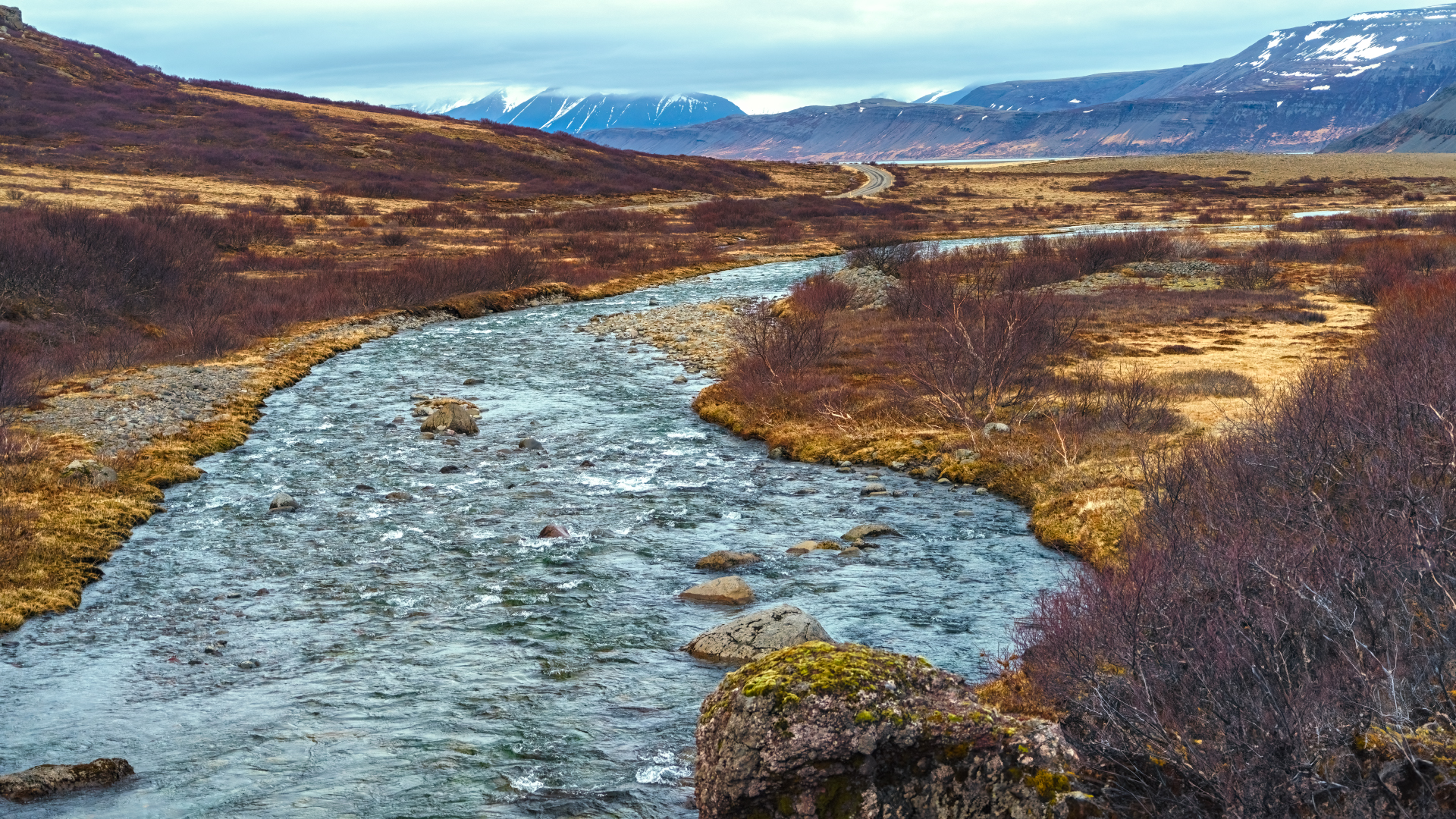 , Шварцман Евгений