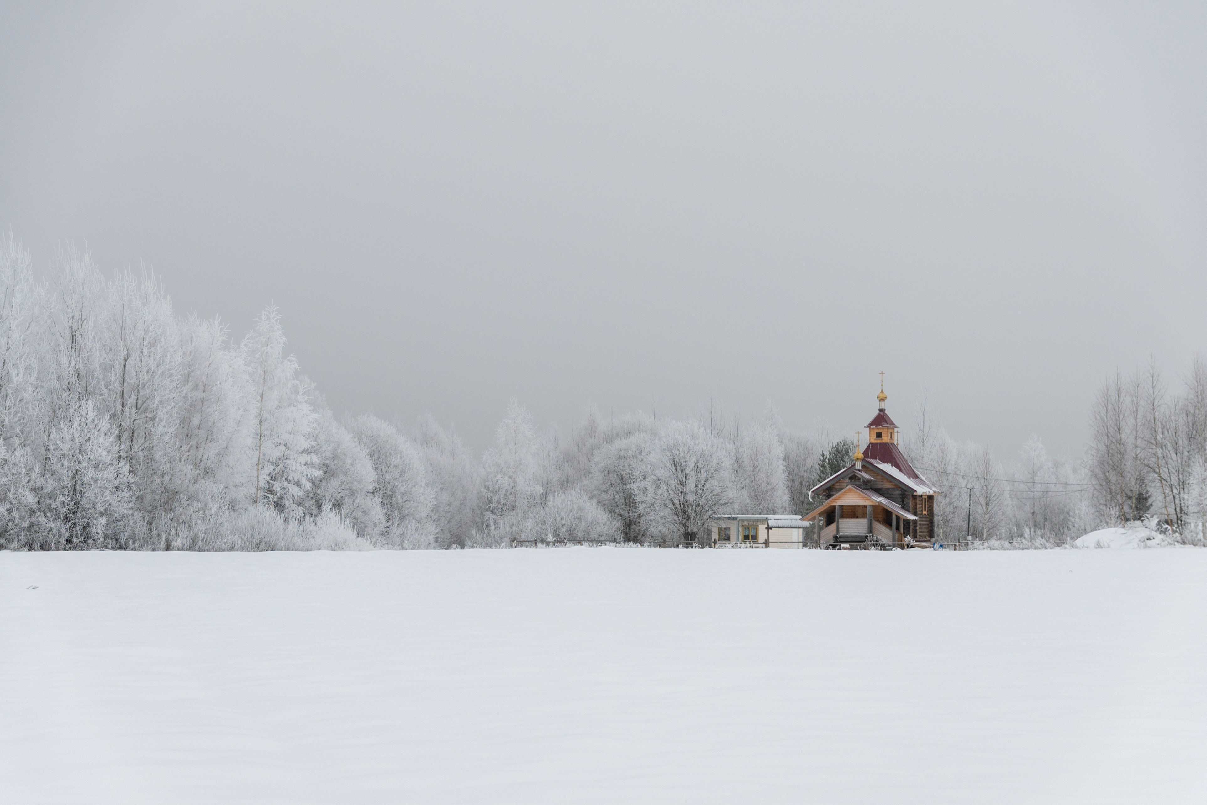 , Елена Ефимова