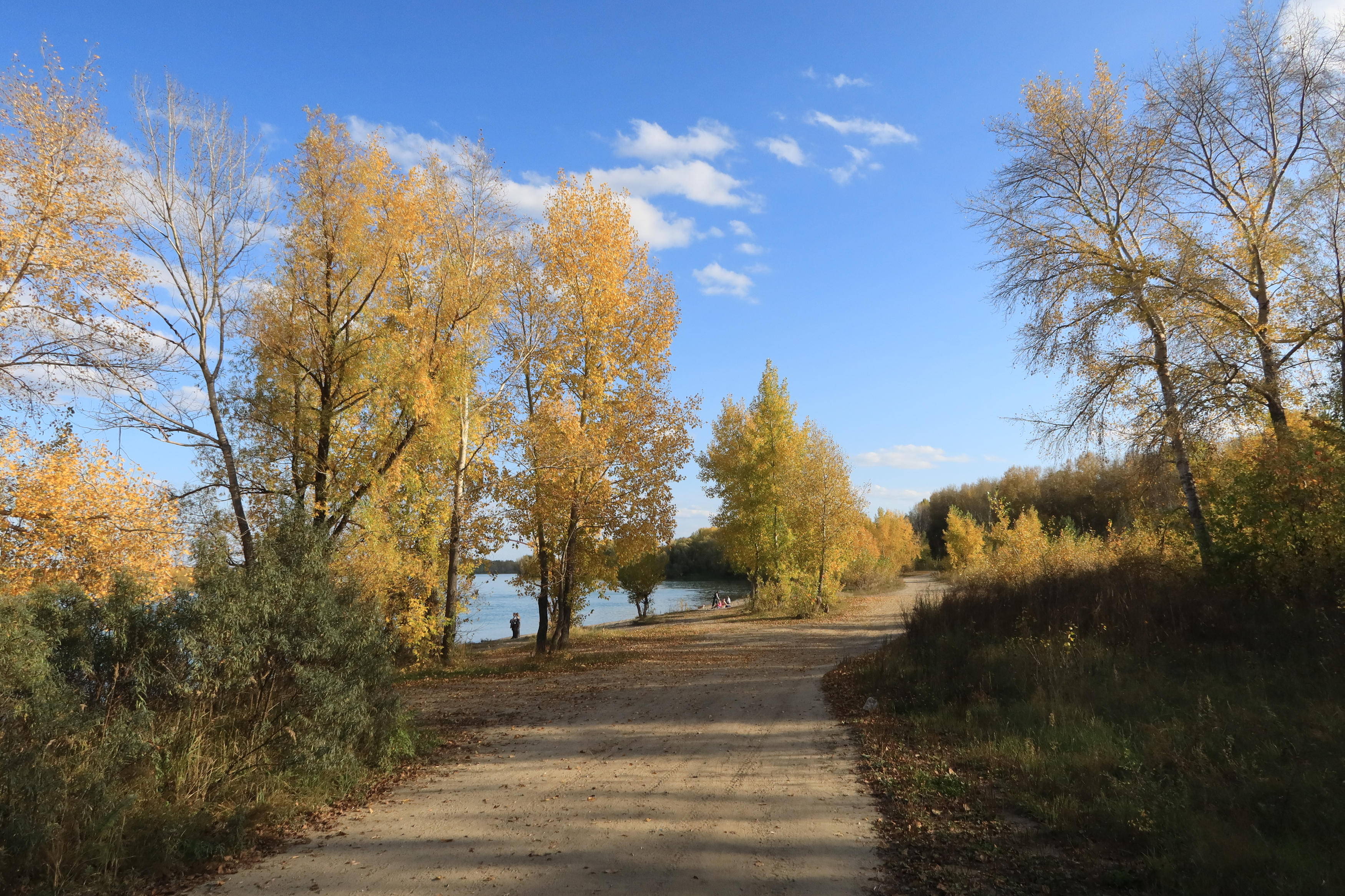 дорога,река,осень,деревья, Козлова Галина