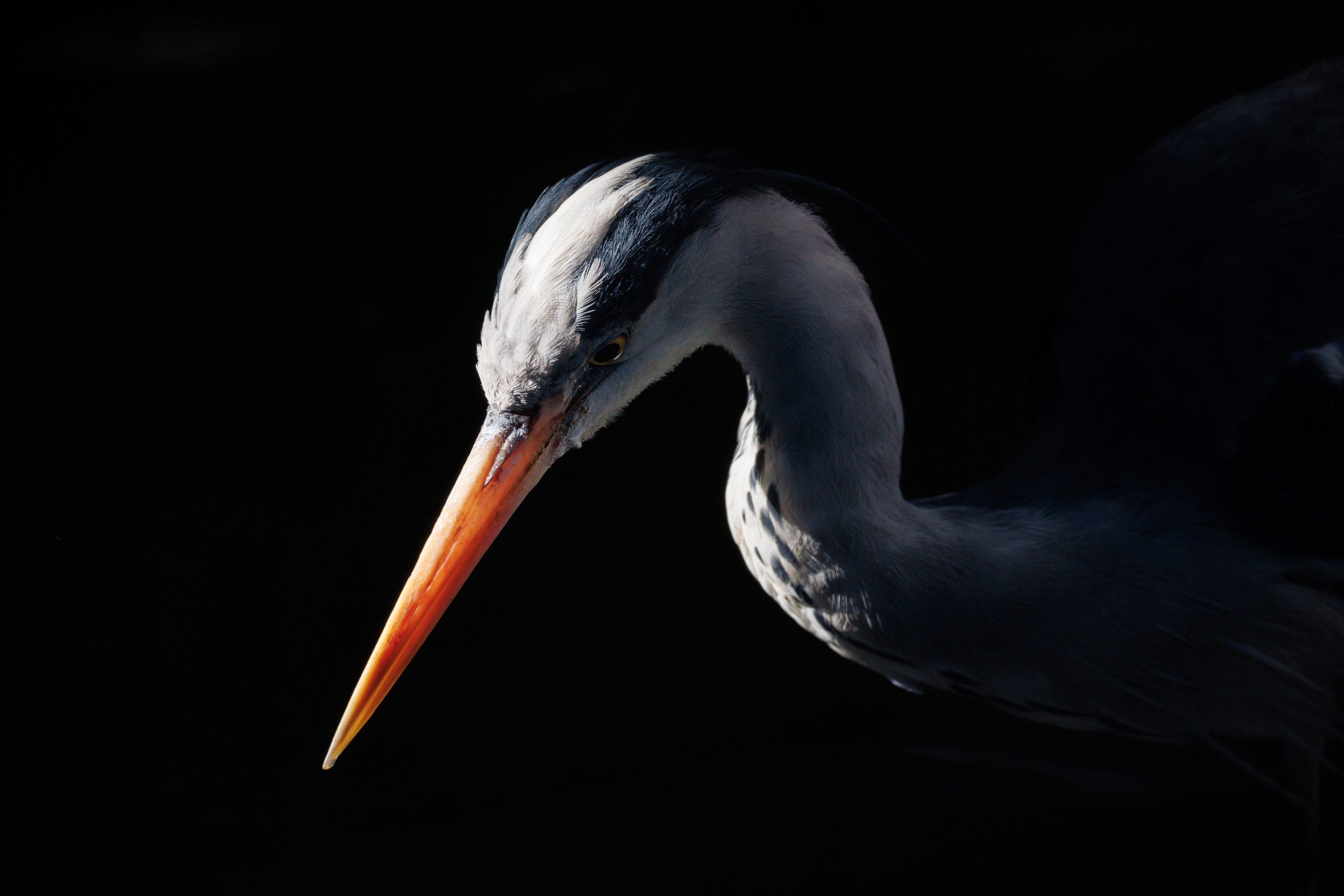 , ssmirs Сергей