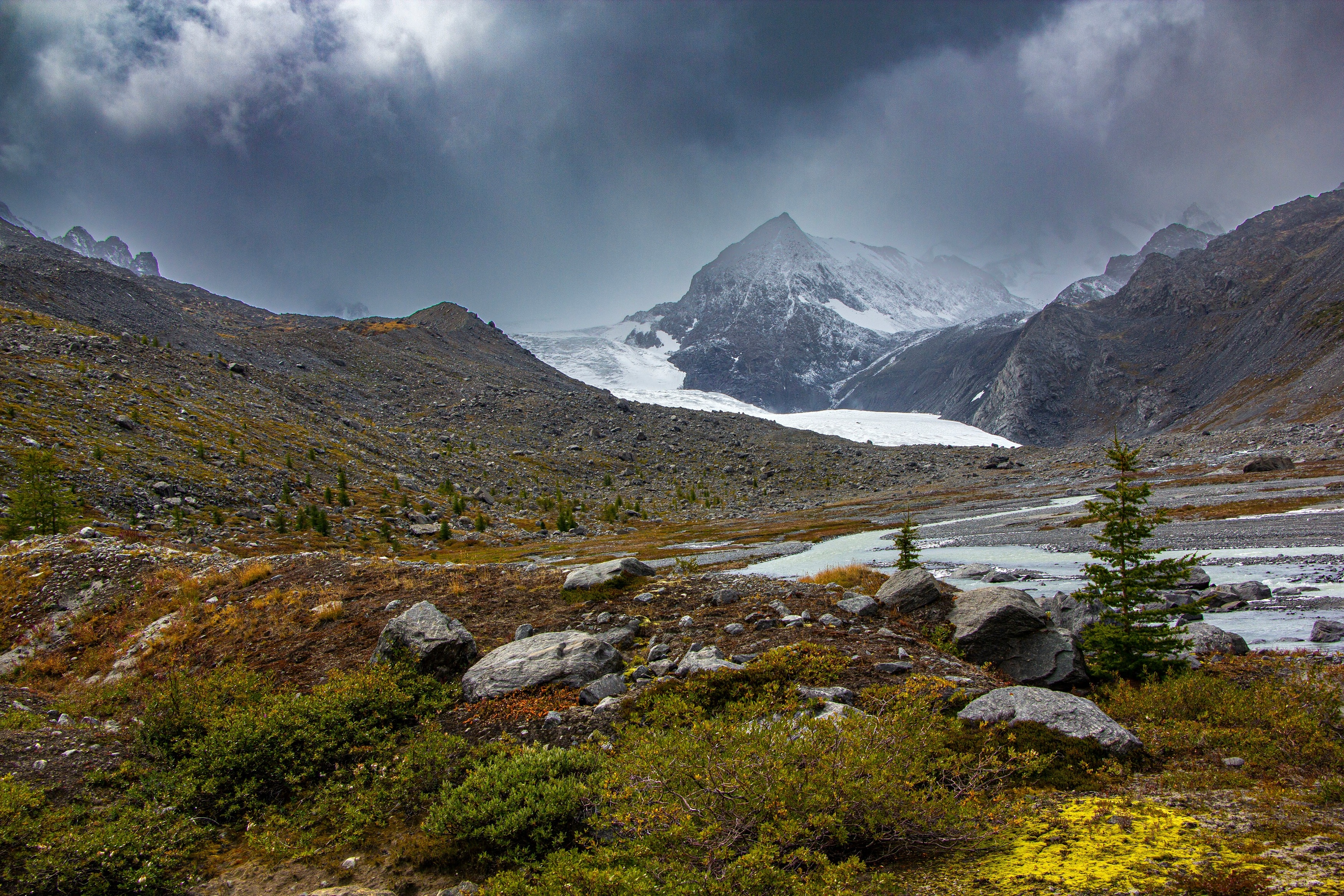 , Владимир Каверин