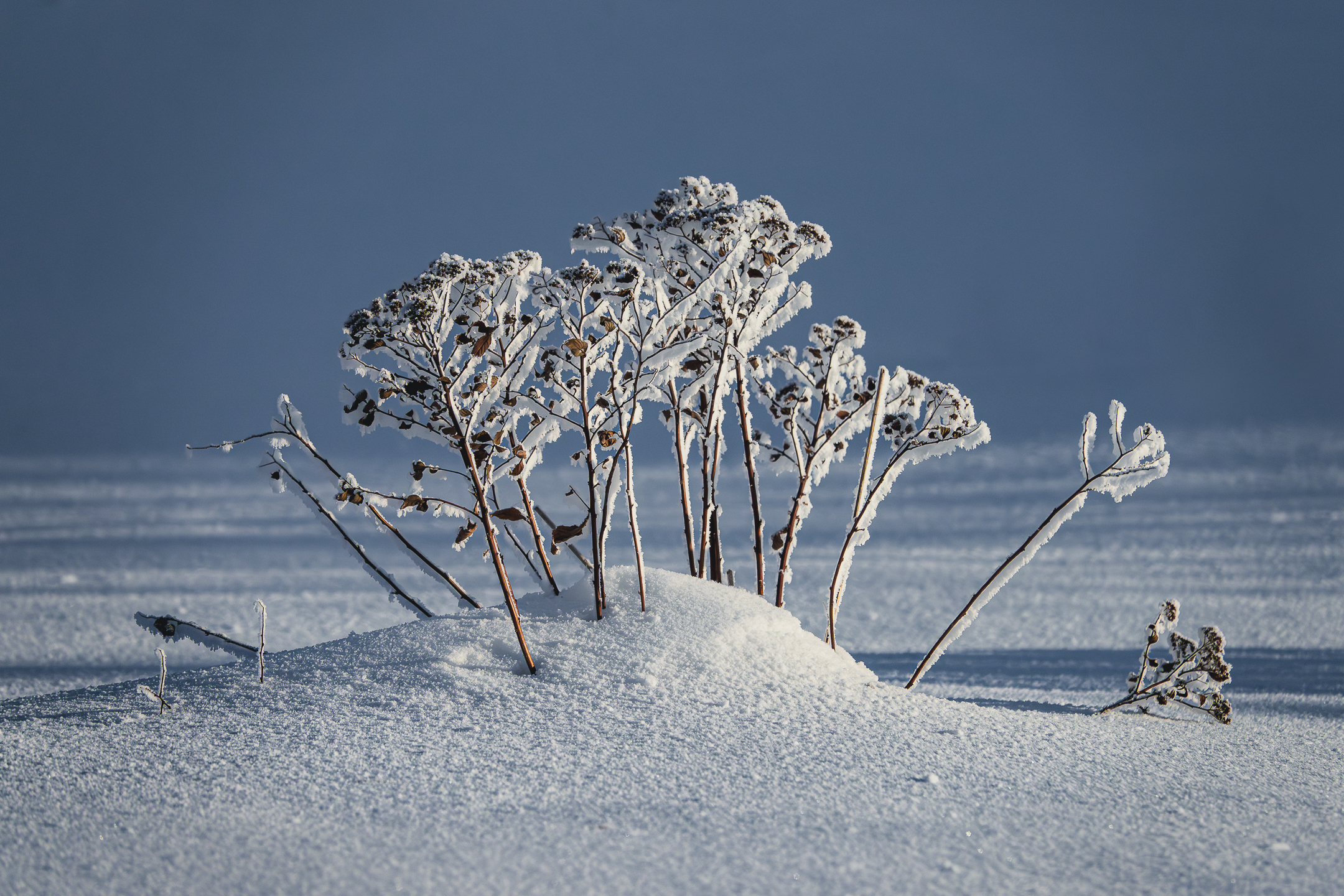 , Андрей Иванов