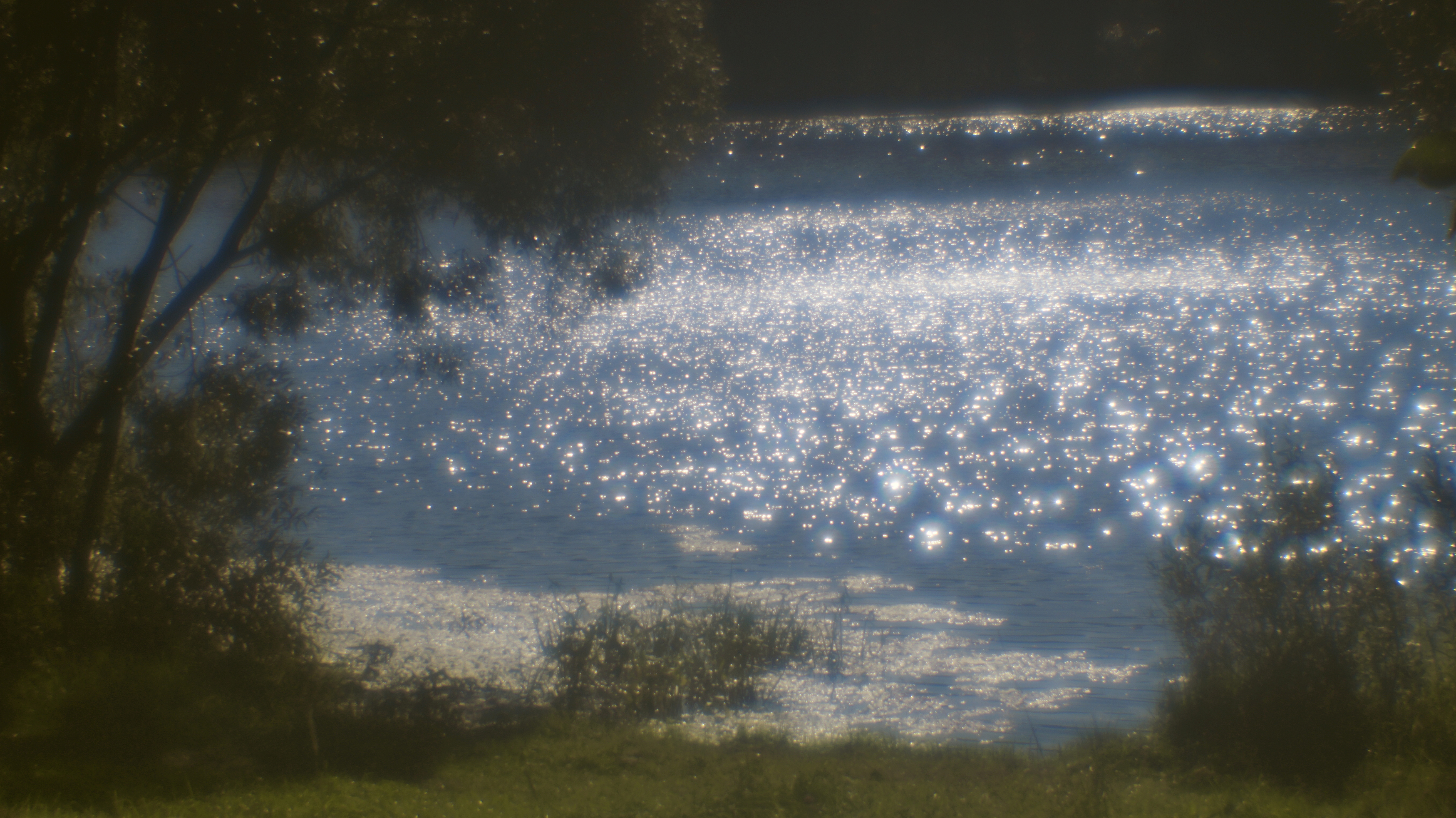 , Сушкевич Светлана