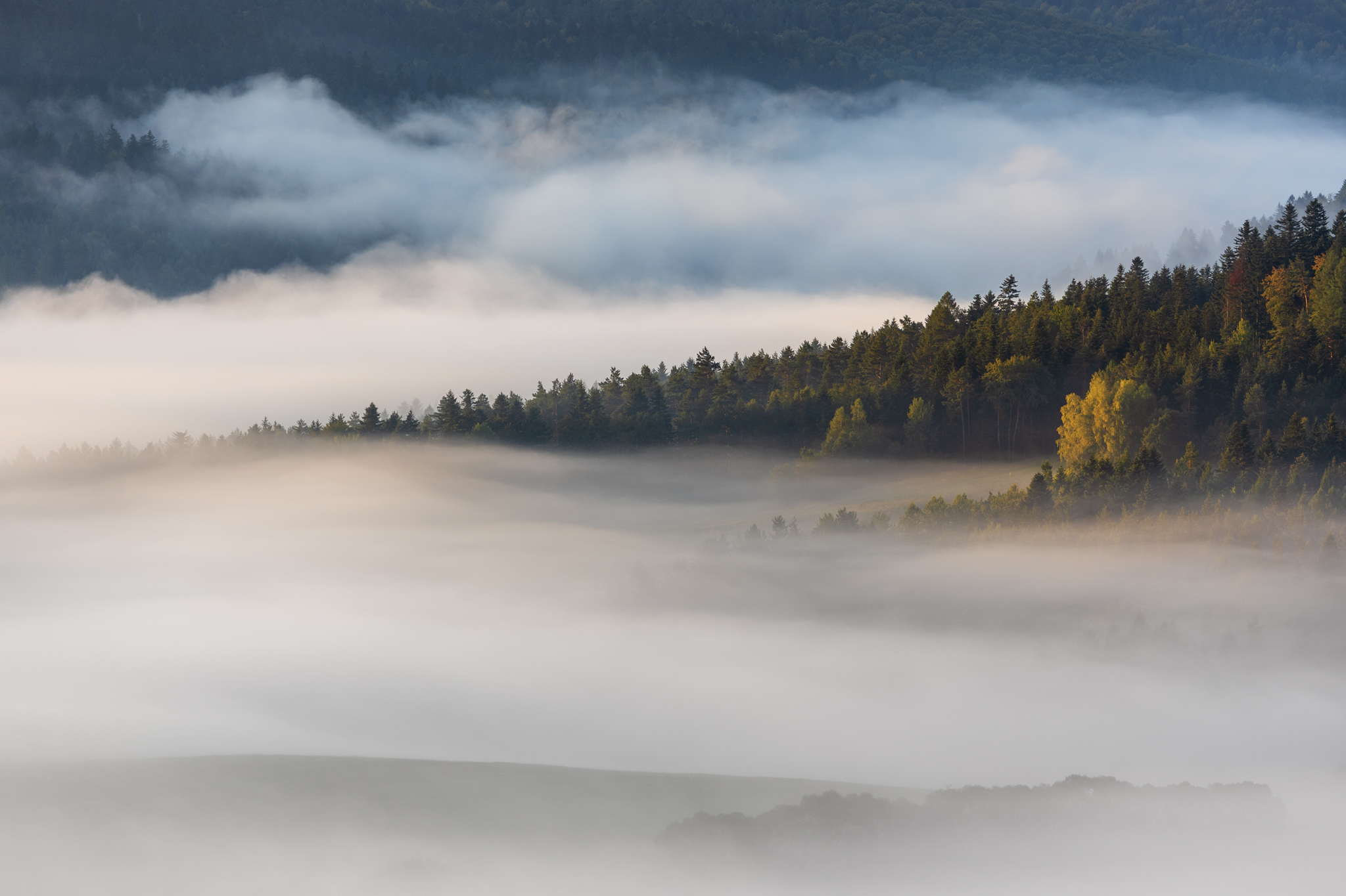 ,  Mirosław Pruchnicki