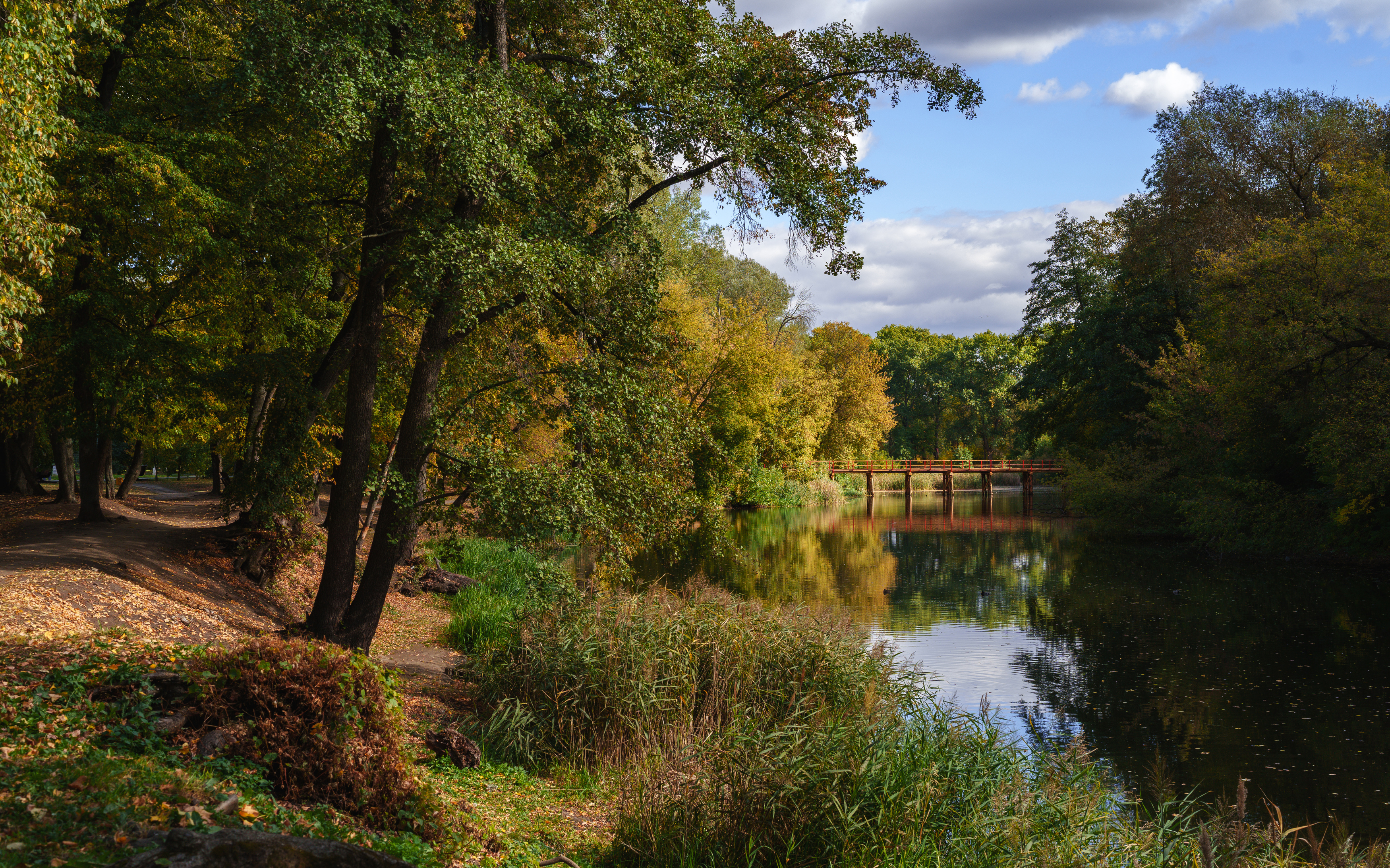 , Вертиков Юрий