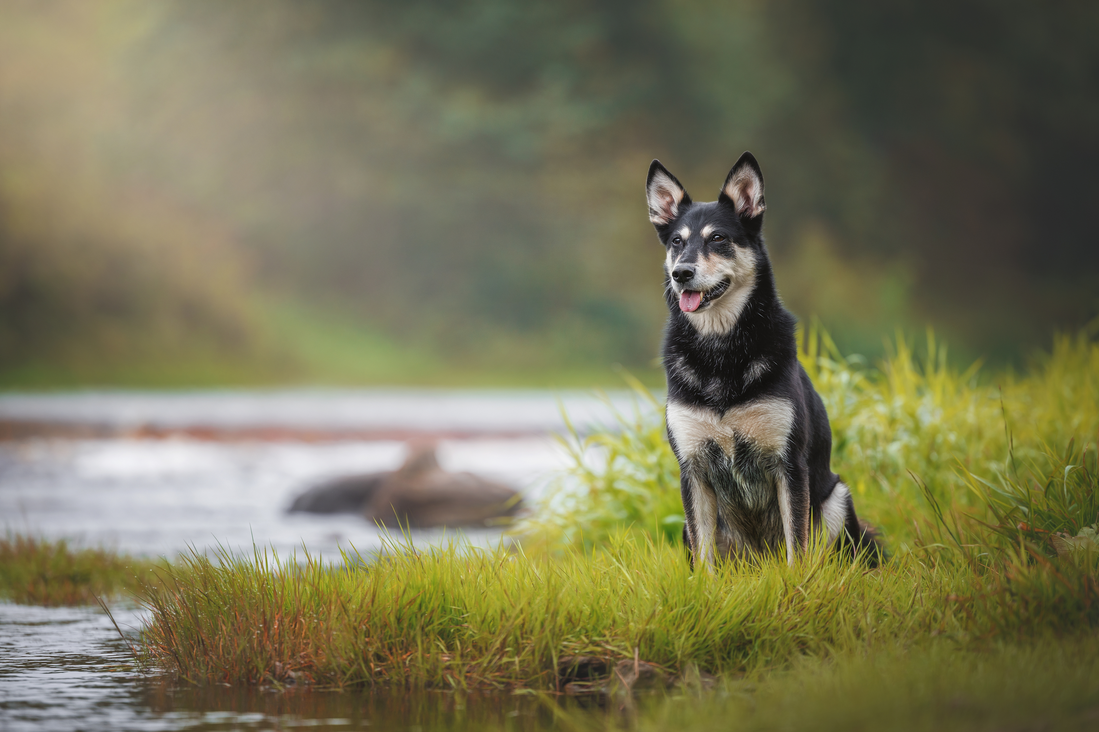 , Яна Нарбутович