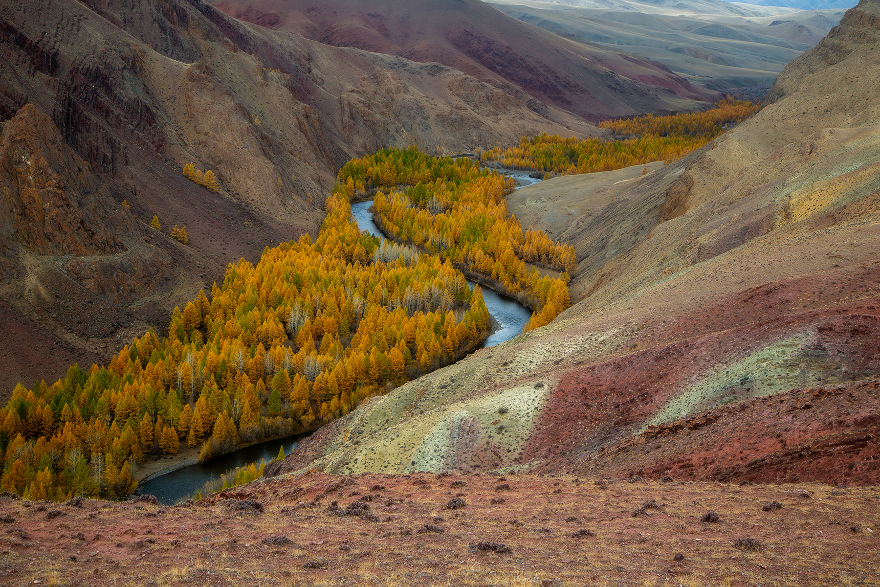, Евгений Зинов