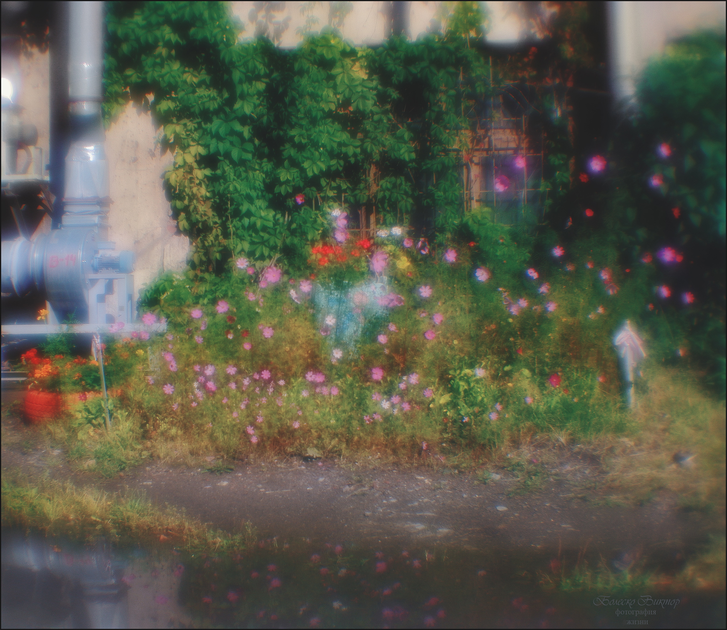 монокль, индустар-50, artрhoto, manuallens, художественное фото, Болеско Виктор