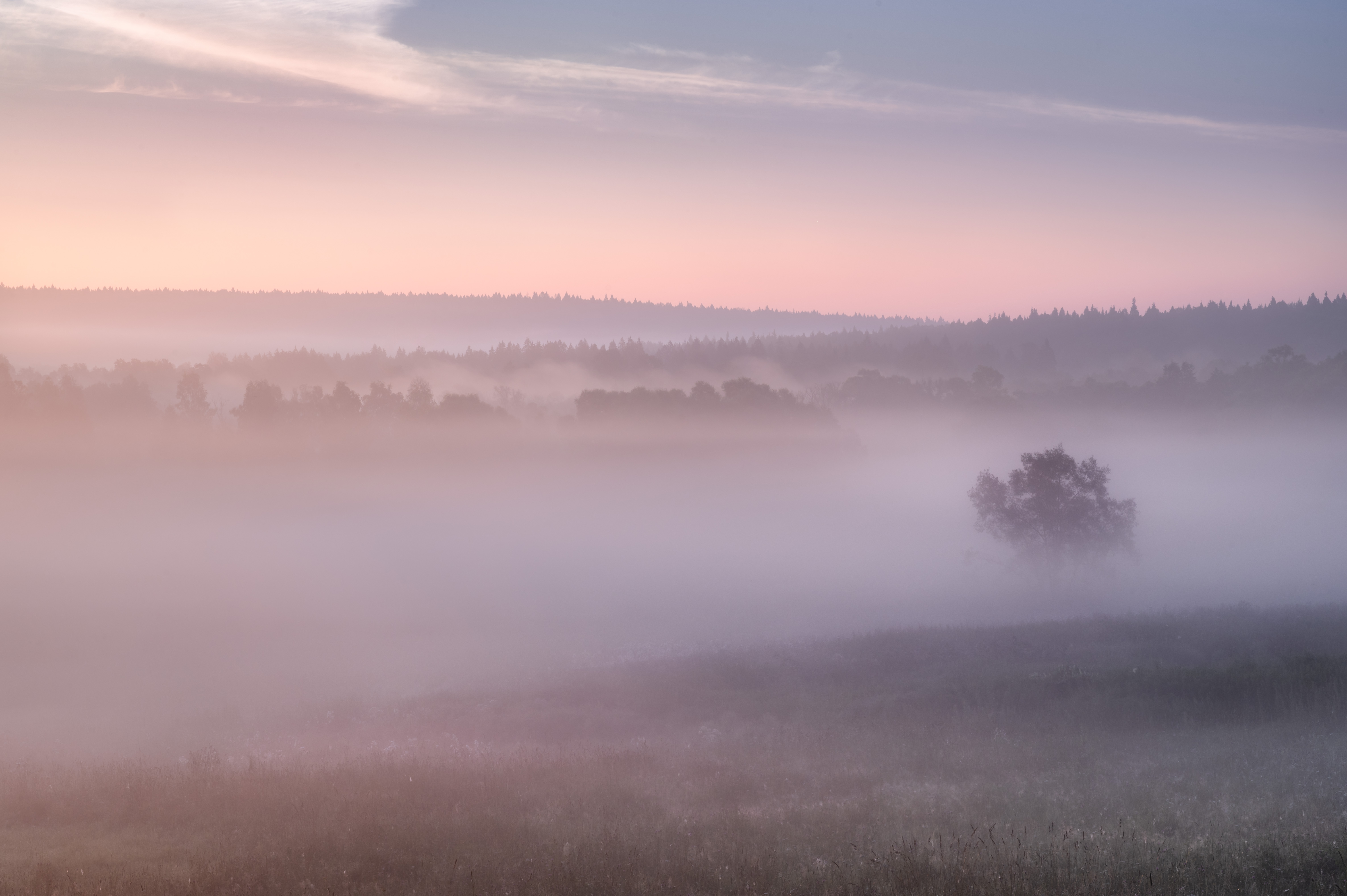 , Алексей Турчин