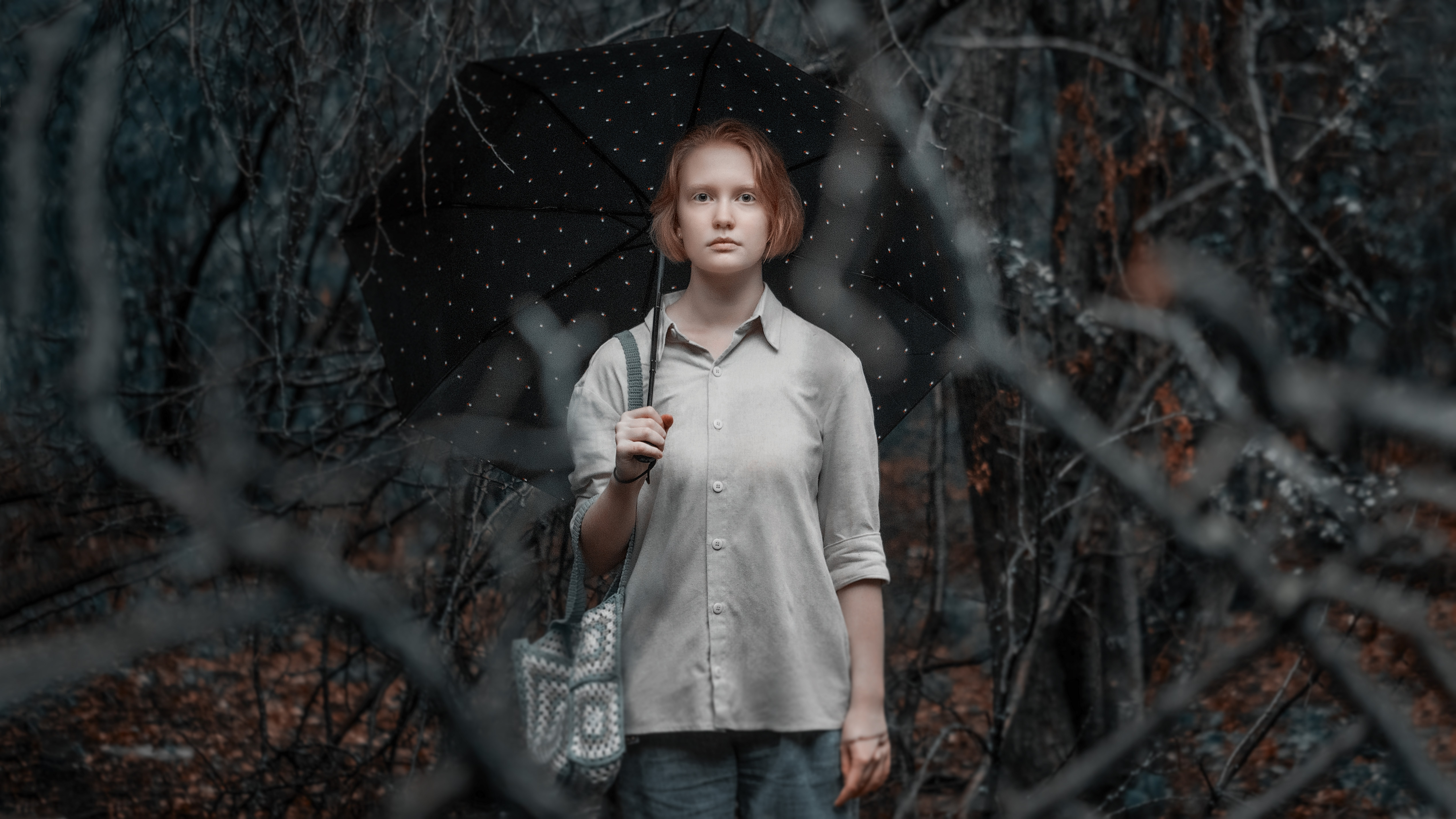 , Владимир Осауленко