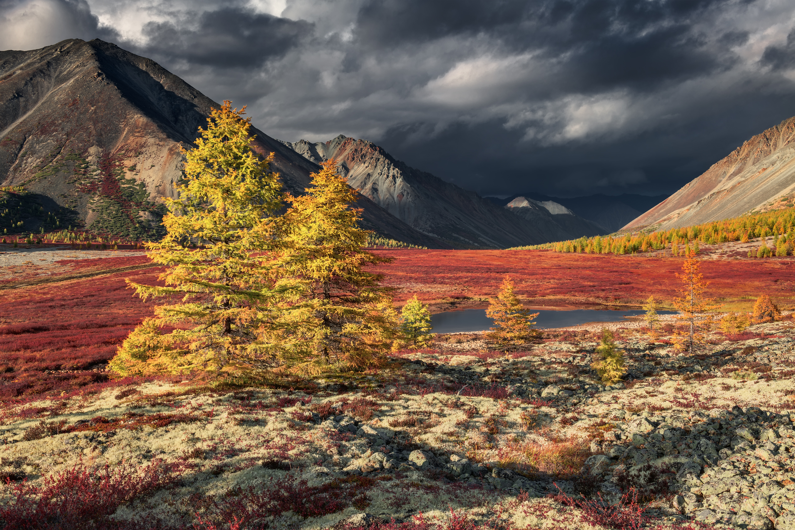 , Евдокимов Максим