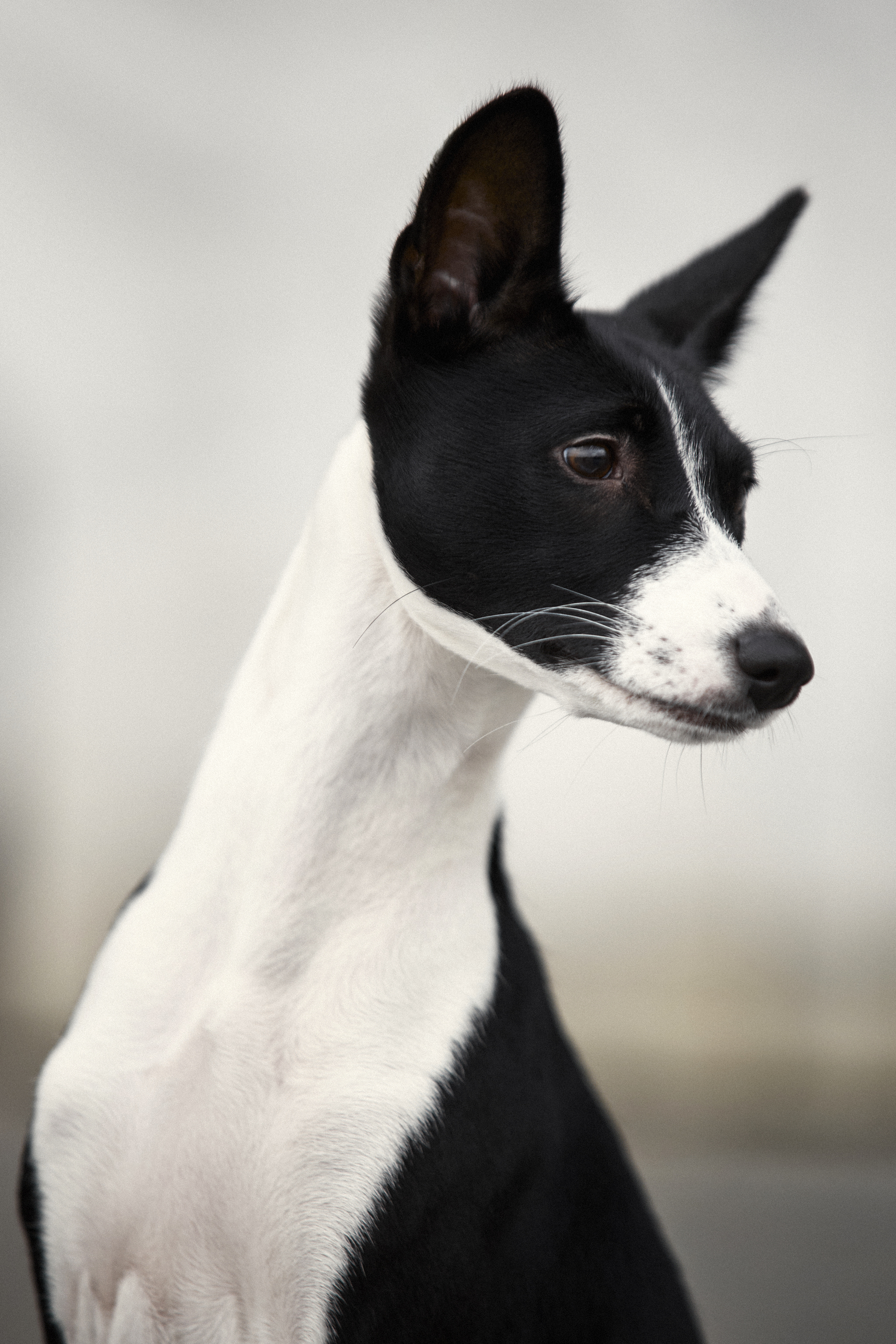 , Вострецов Иван