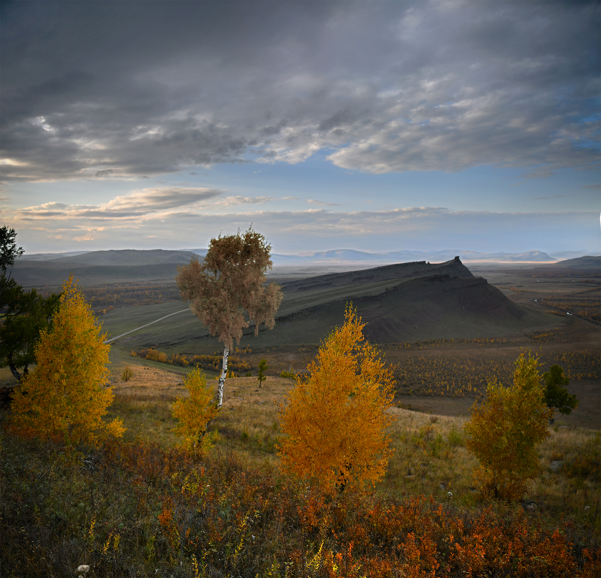 , Крат Светлана