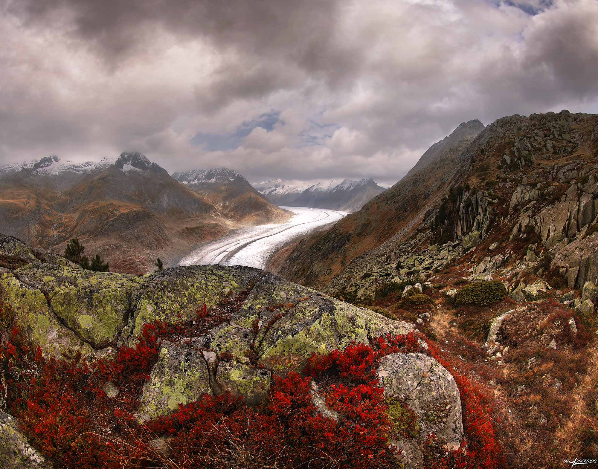 swiss, Матвеев Николай