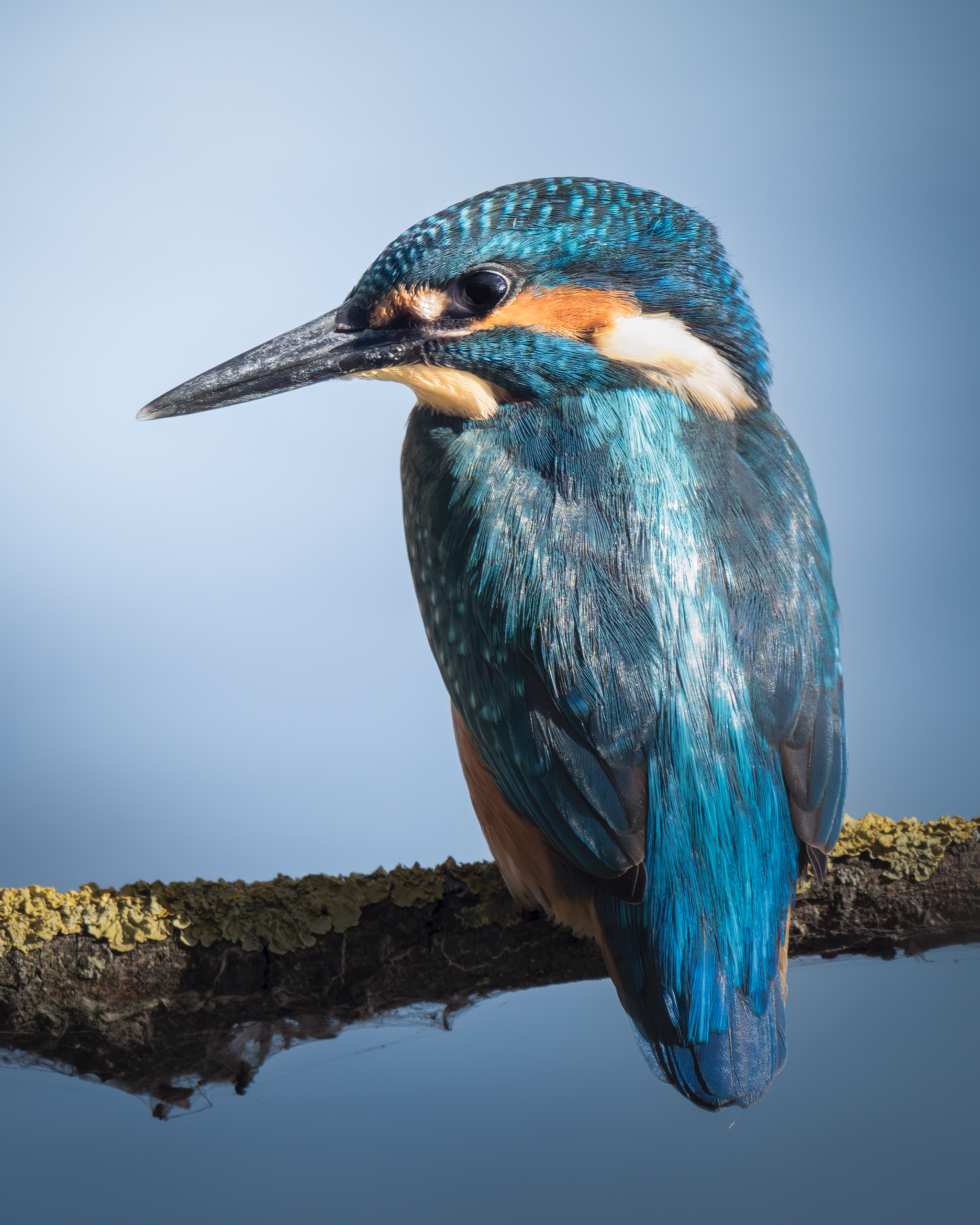 , Поляков Михаил