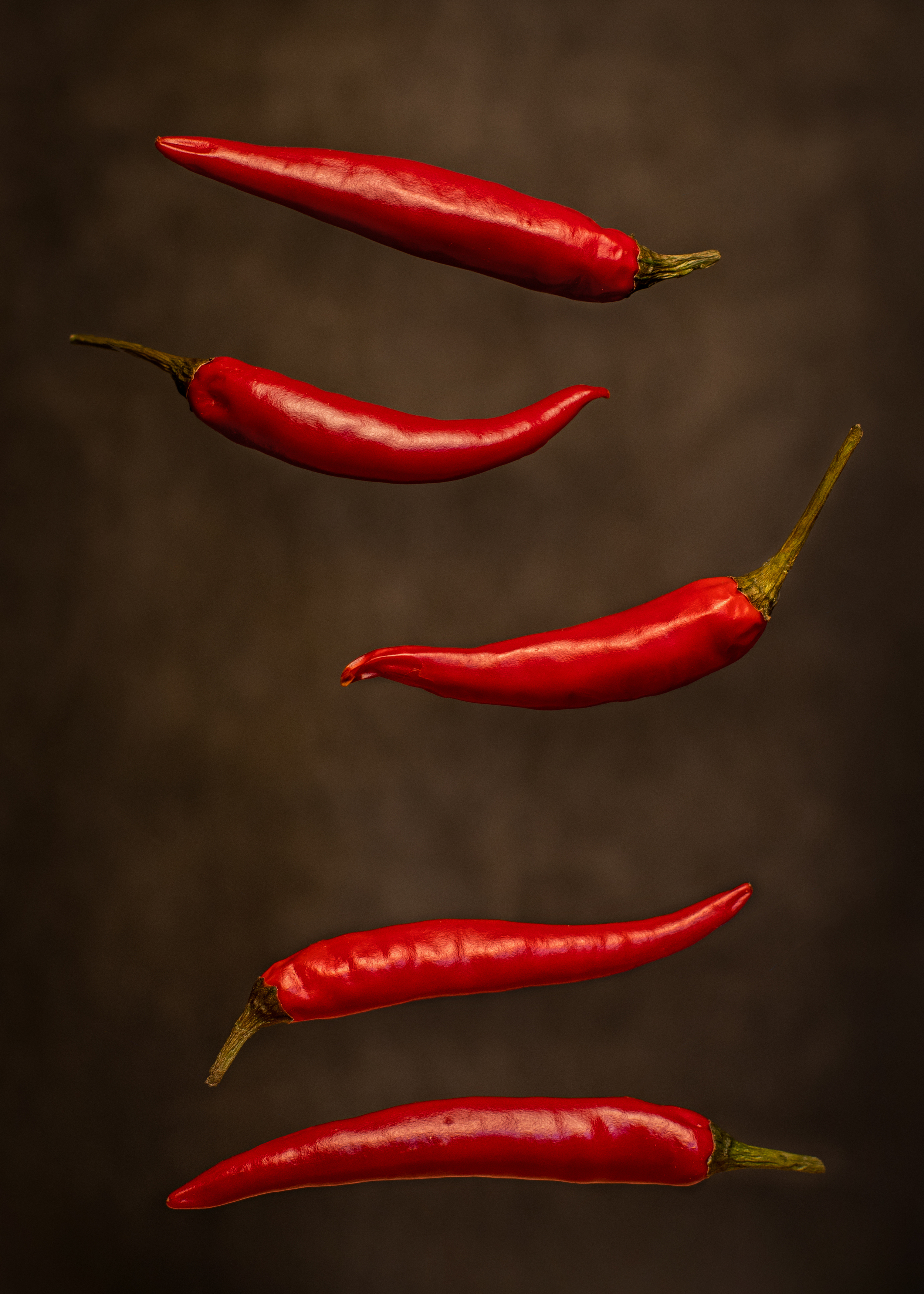 , Оксана Макарова