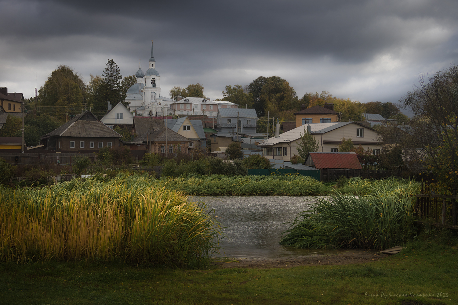 кострома, Елена Рубинская
