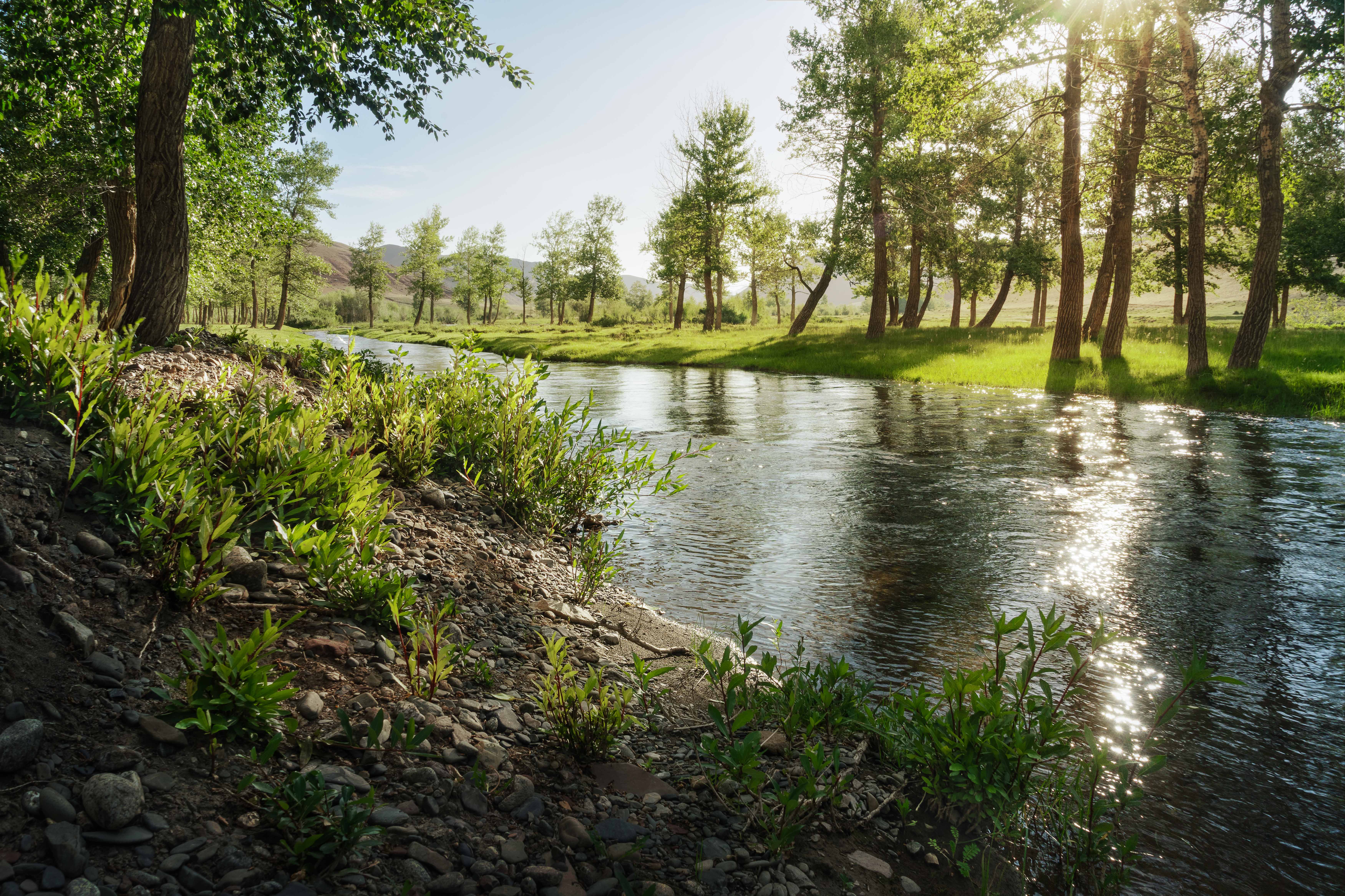 , Важенин Евгений