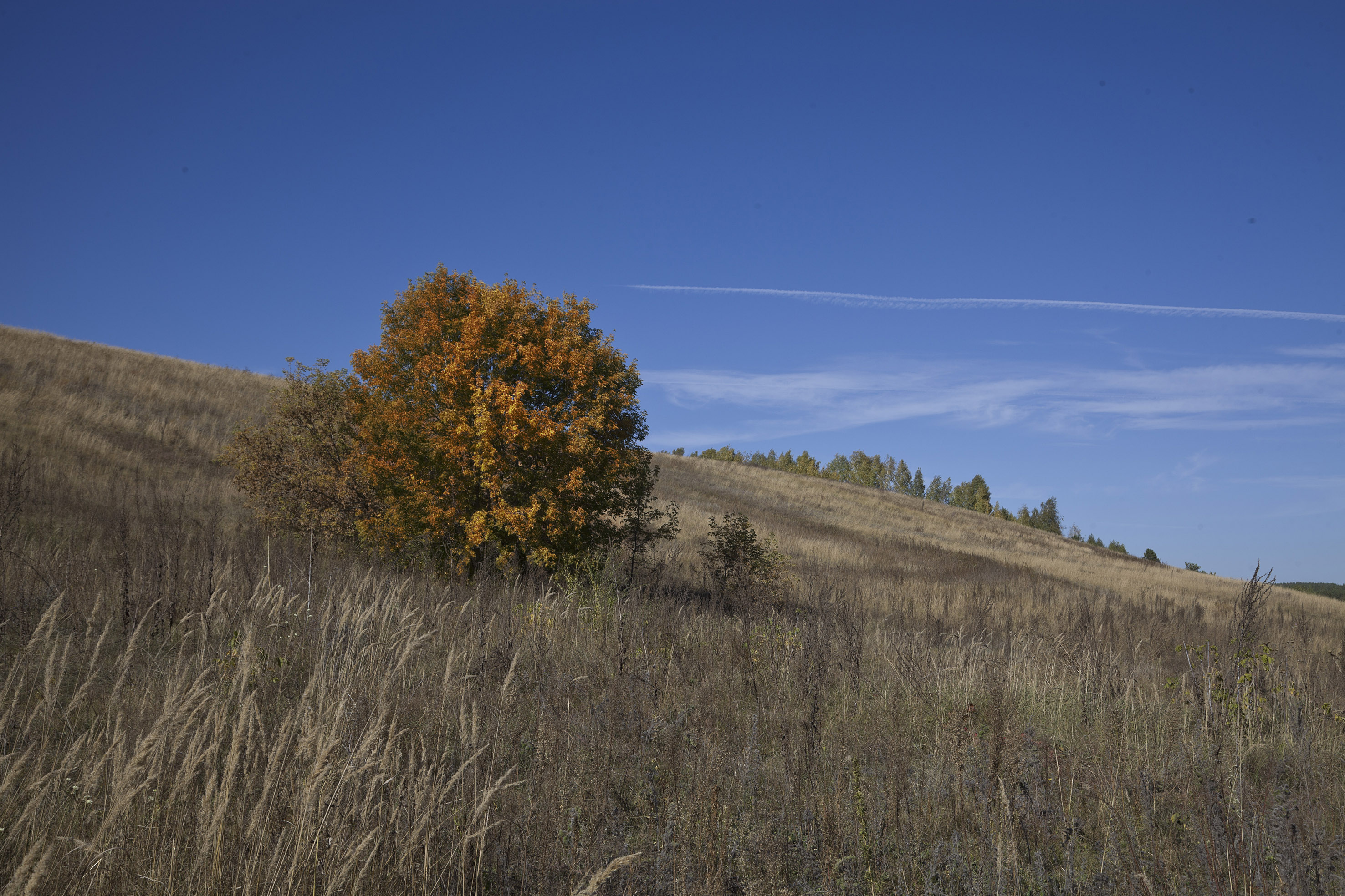 осень, Виктор Кириллов