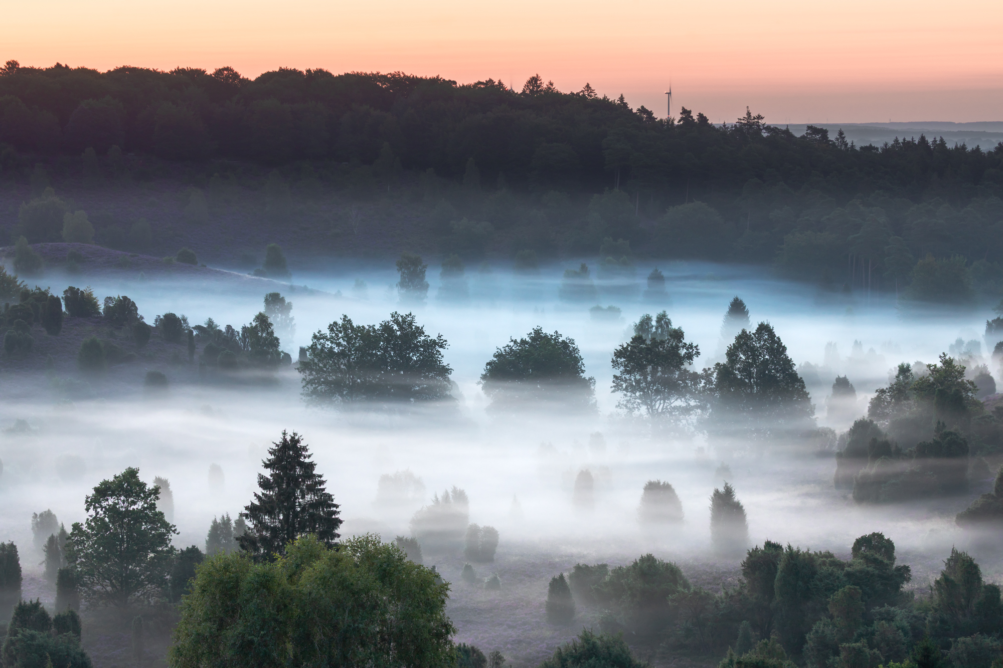 , Евгения Чех
