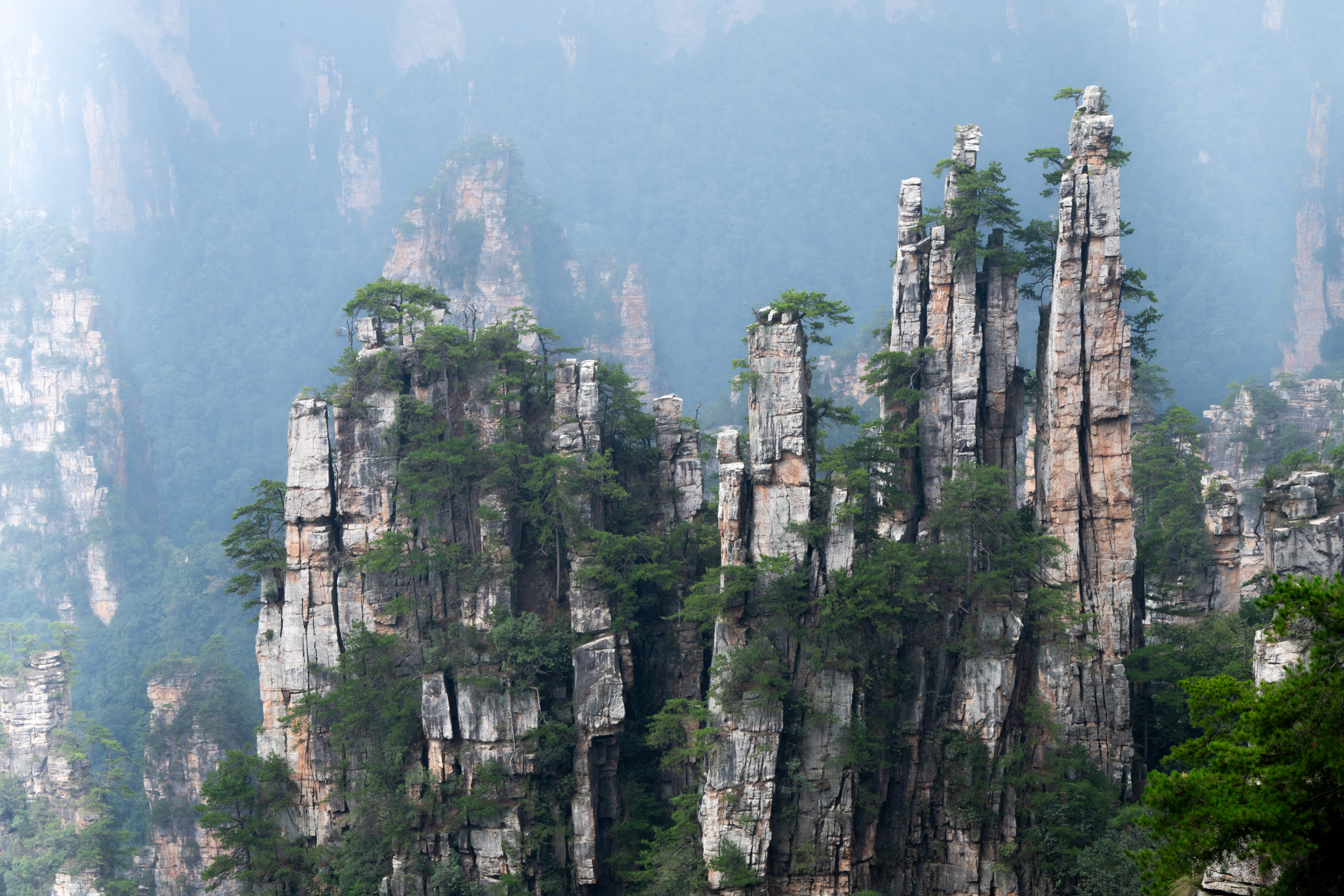 китай, Сулоев Алексей