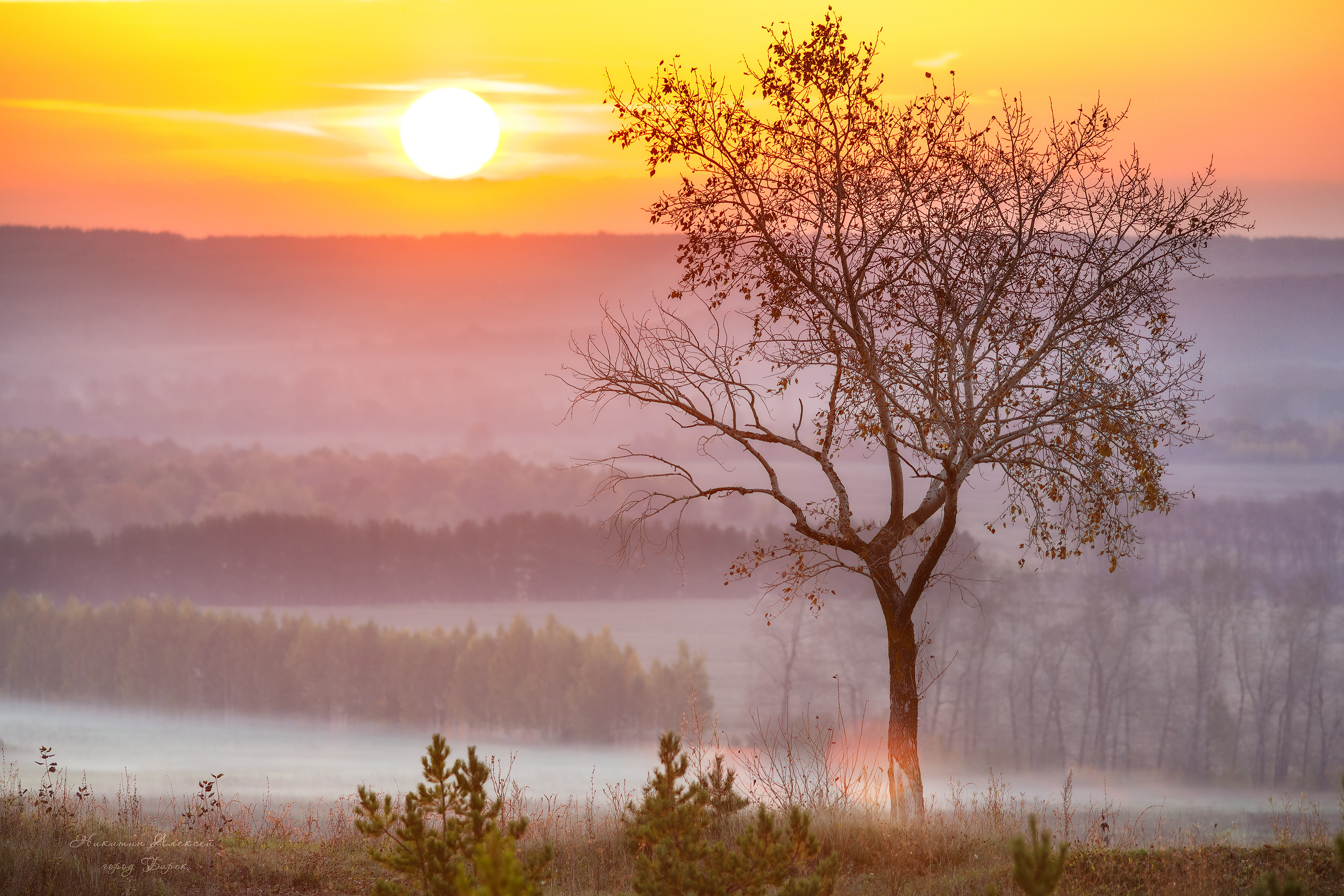 , Никитин Алексей