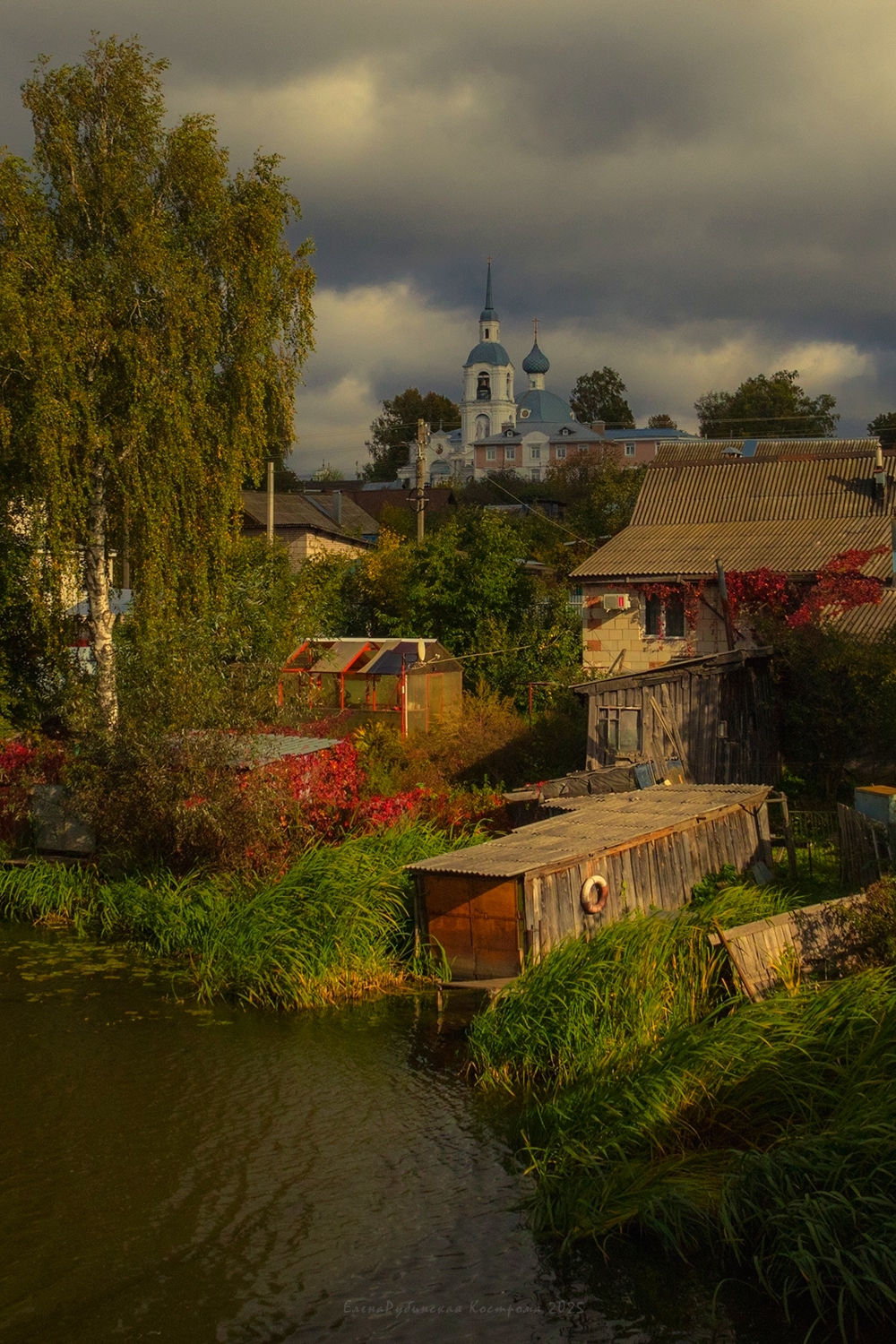 кострома, Елена Рубинская